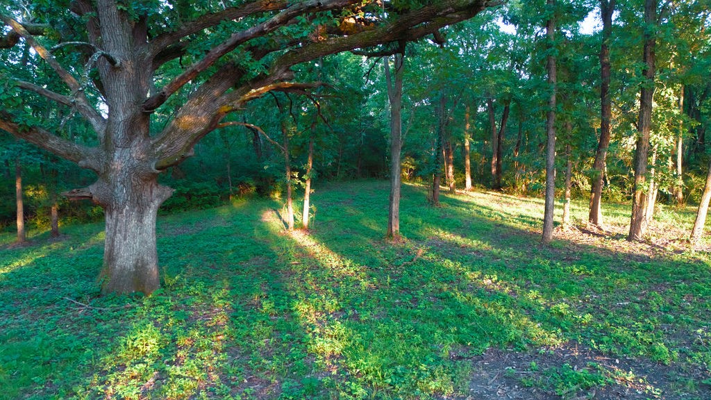 12215 NE 68th Street