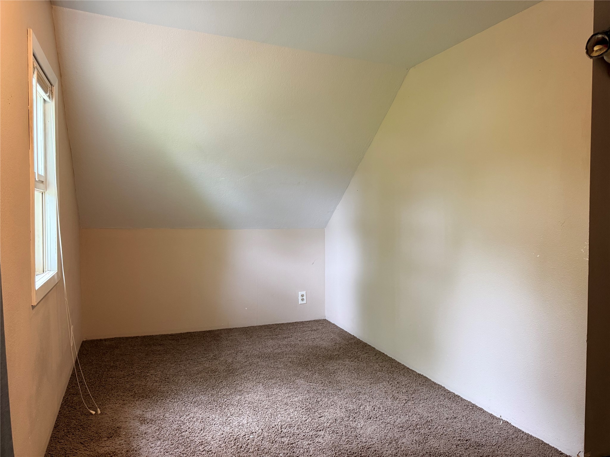 323 Walnut Street