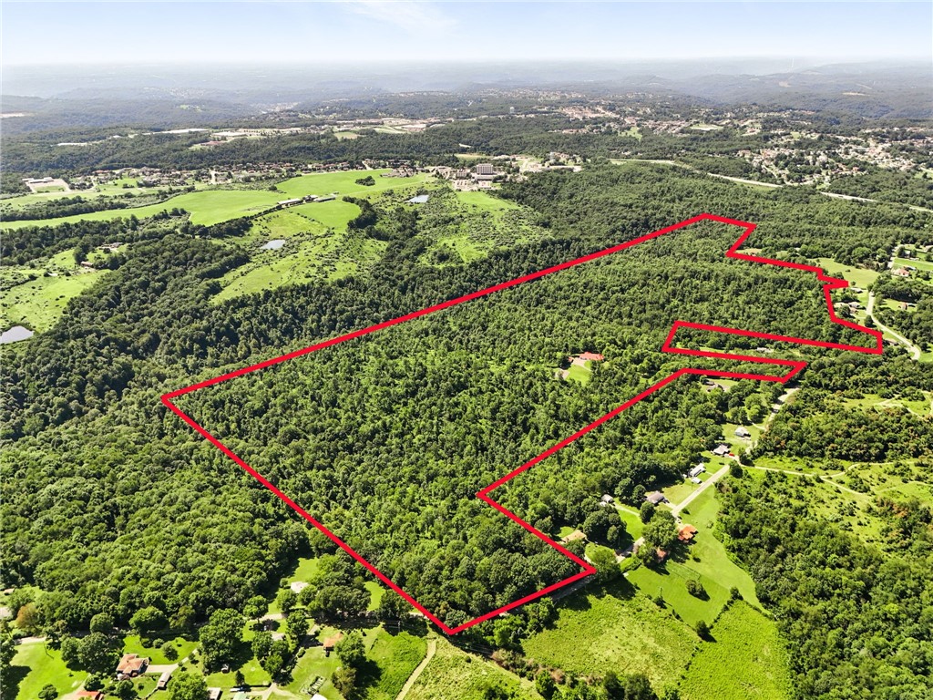 341 Paris Colliers Road