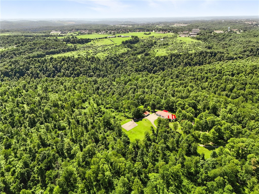 341 Paris Colliers Road