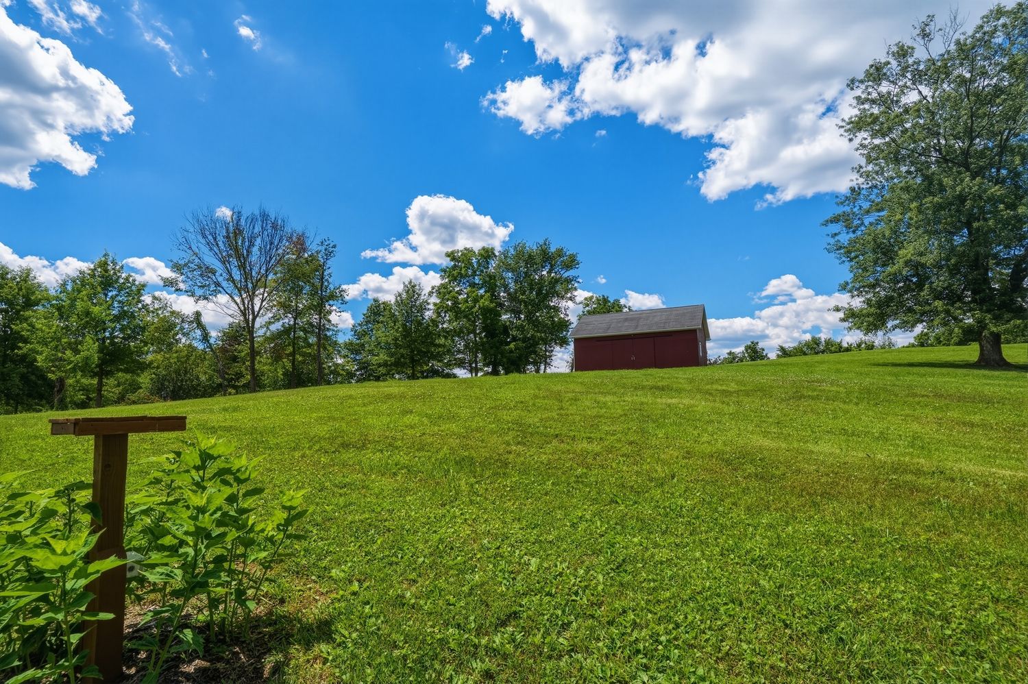 139 Springdale ROAD