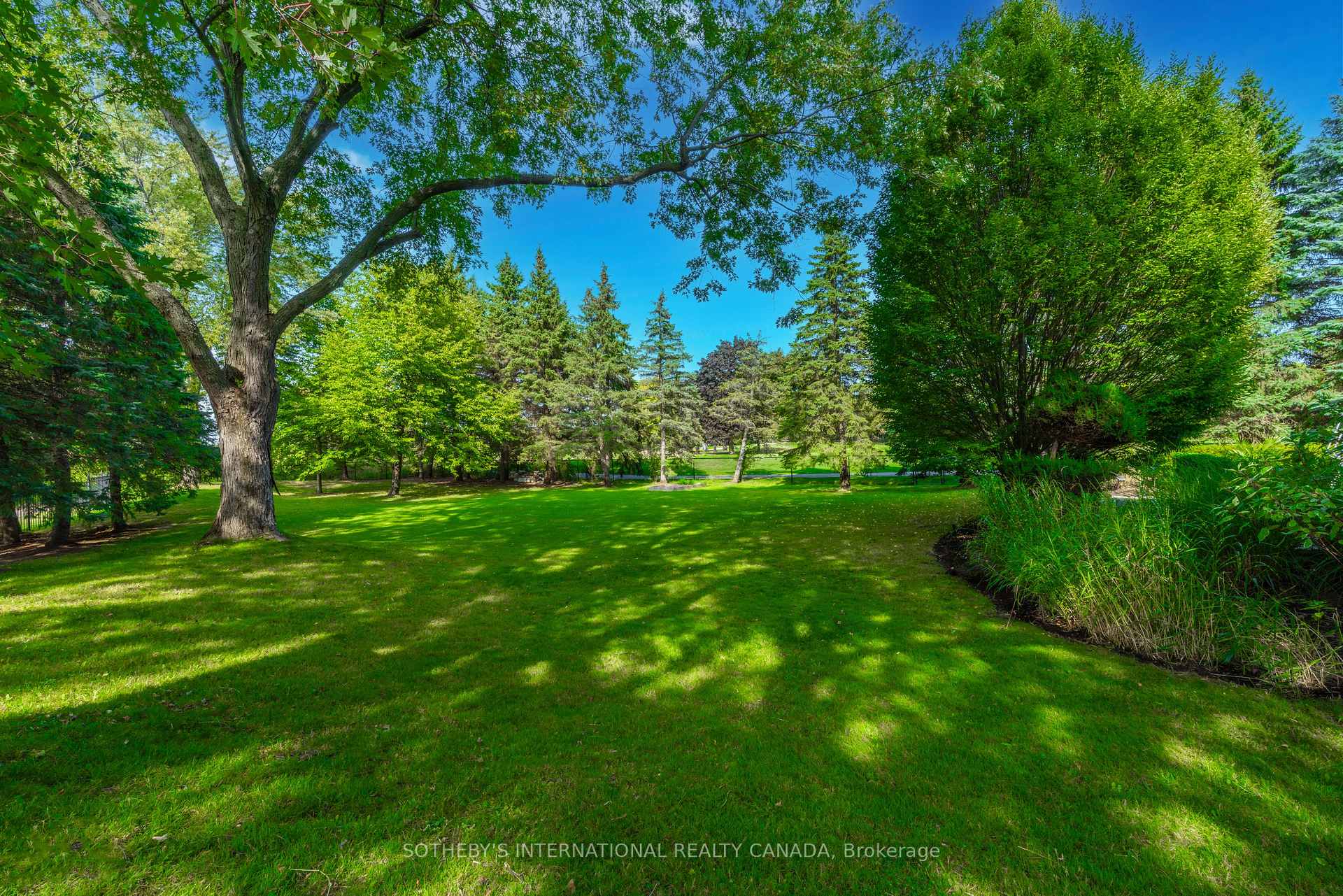 85 Cowan Drive