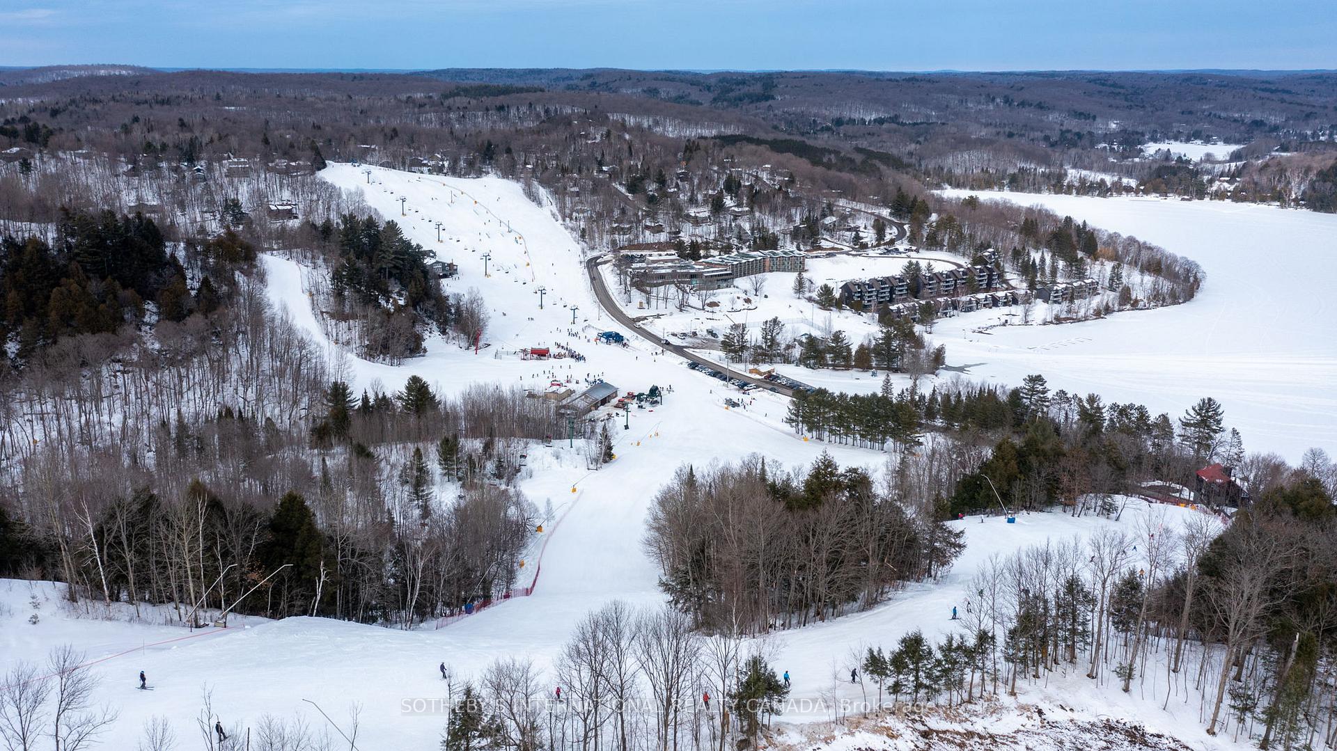 3 TREE TOPS Lane 302