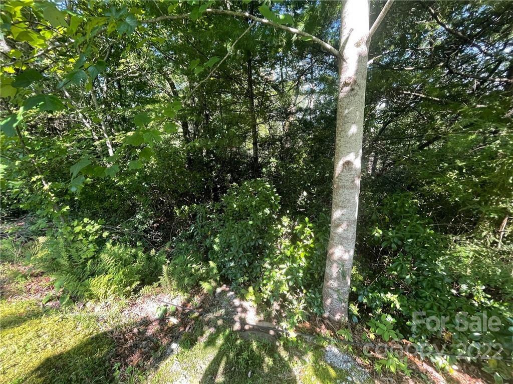 99999 Pine Mountain Trail Unit: M37