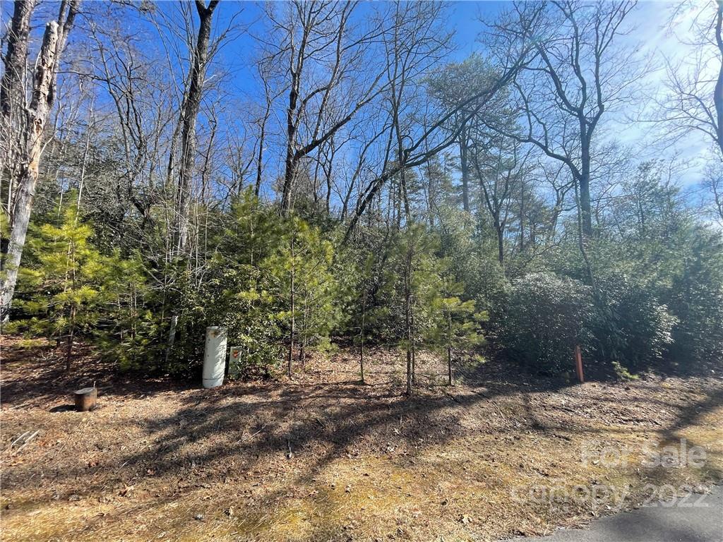 SH11 Springhouse Trail