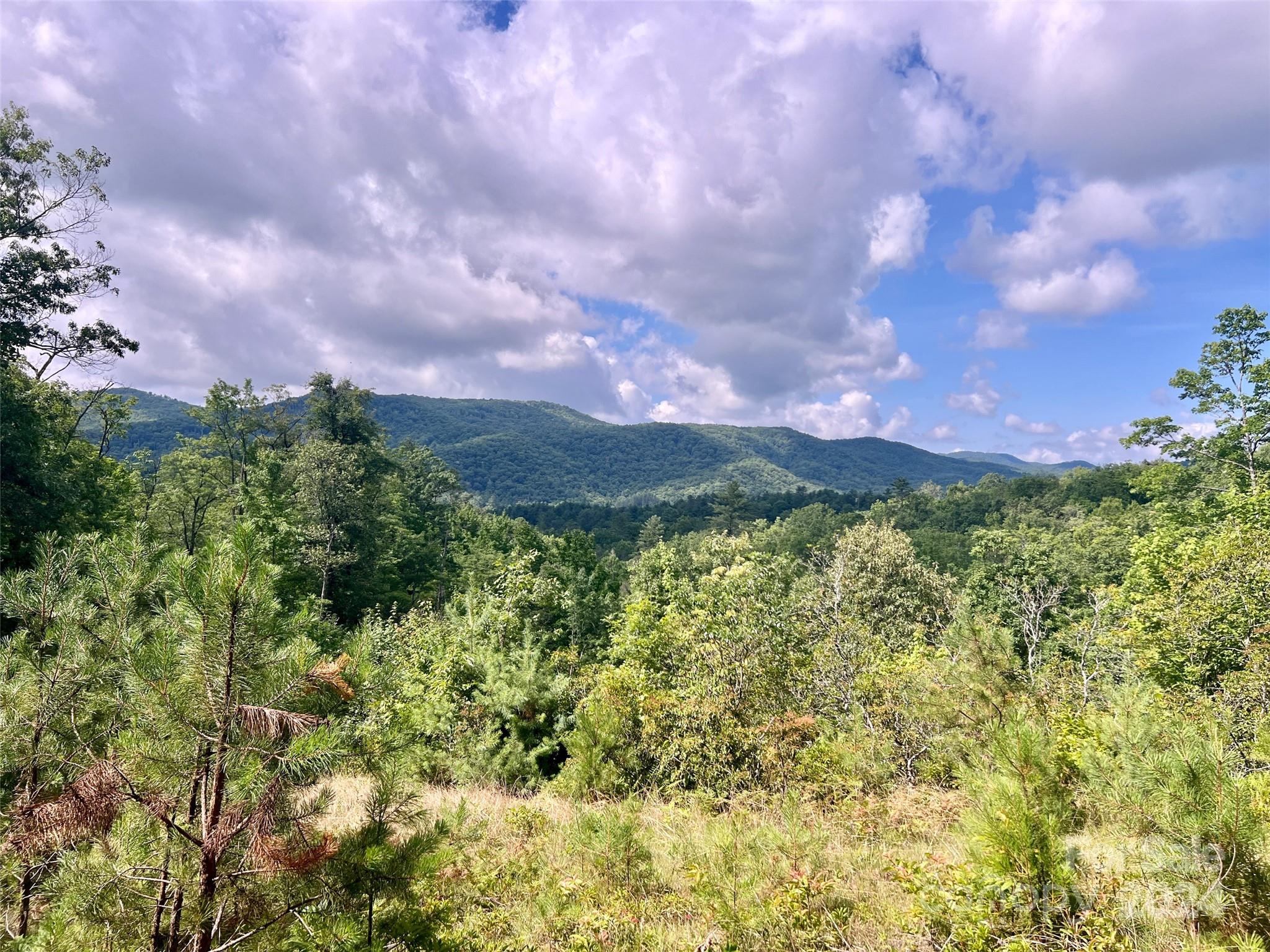 667 Laurel Thicket Lane