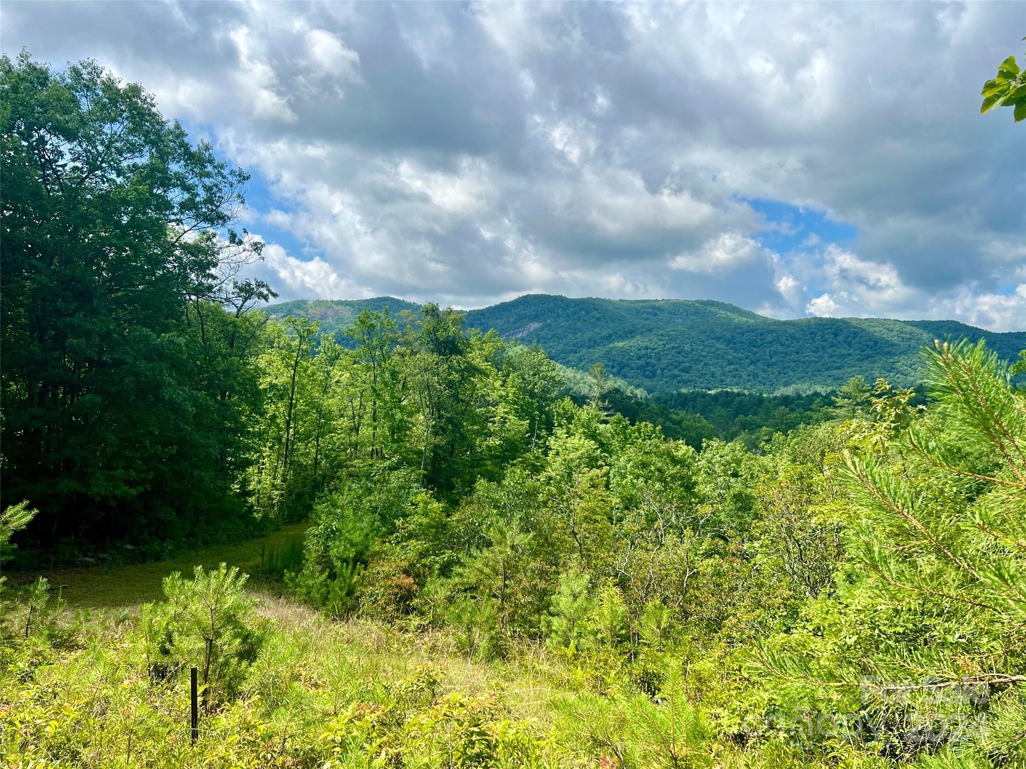 667 Laurel Thicket Lane