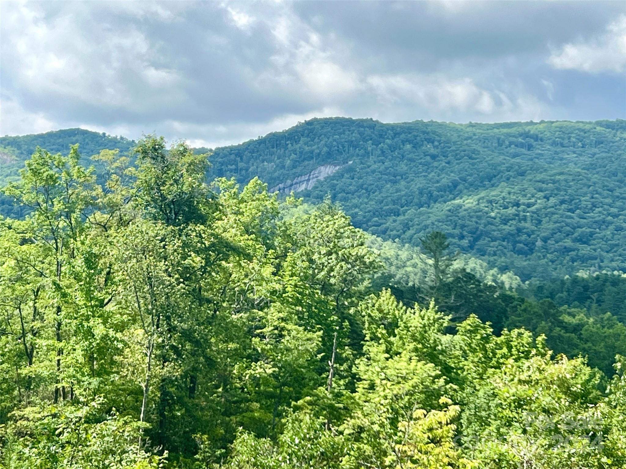 667 Laurel Thicket Lane