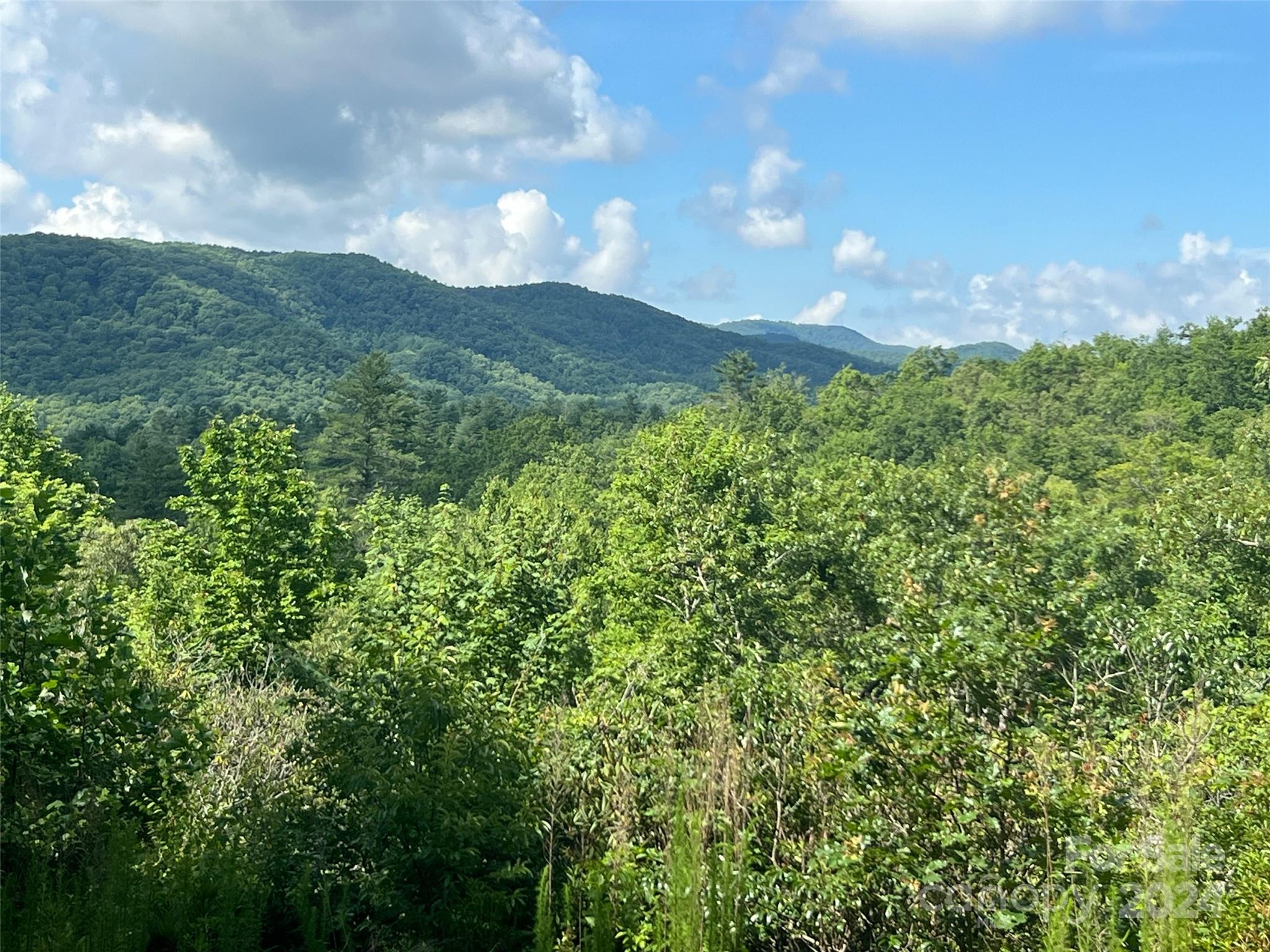 667 Laurel Thicket Lane