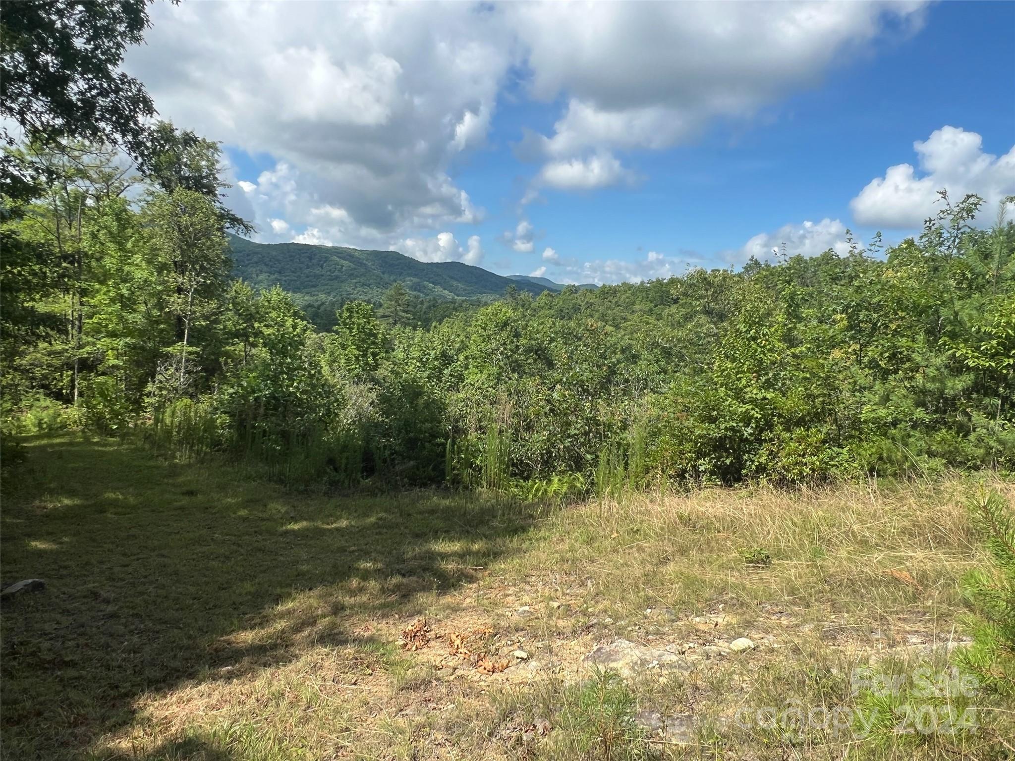 667 Laurel Thicket Lane