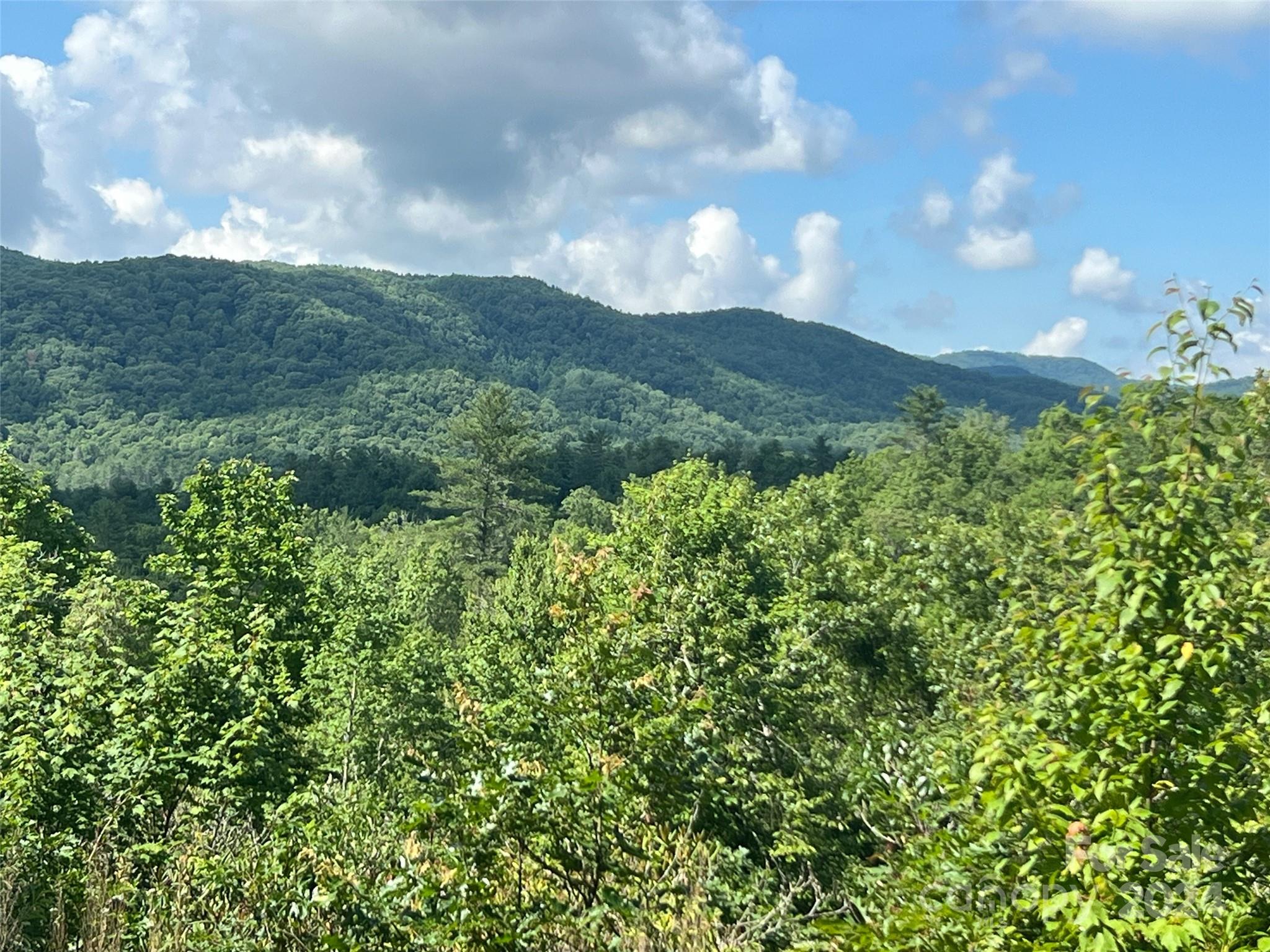667 Laurel Thicket Lane