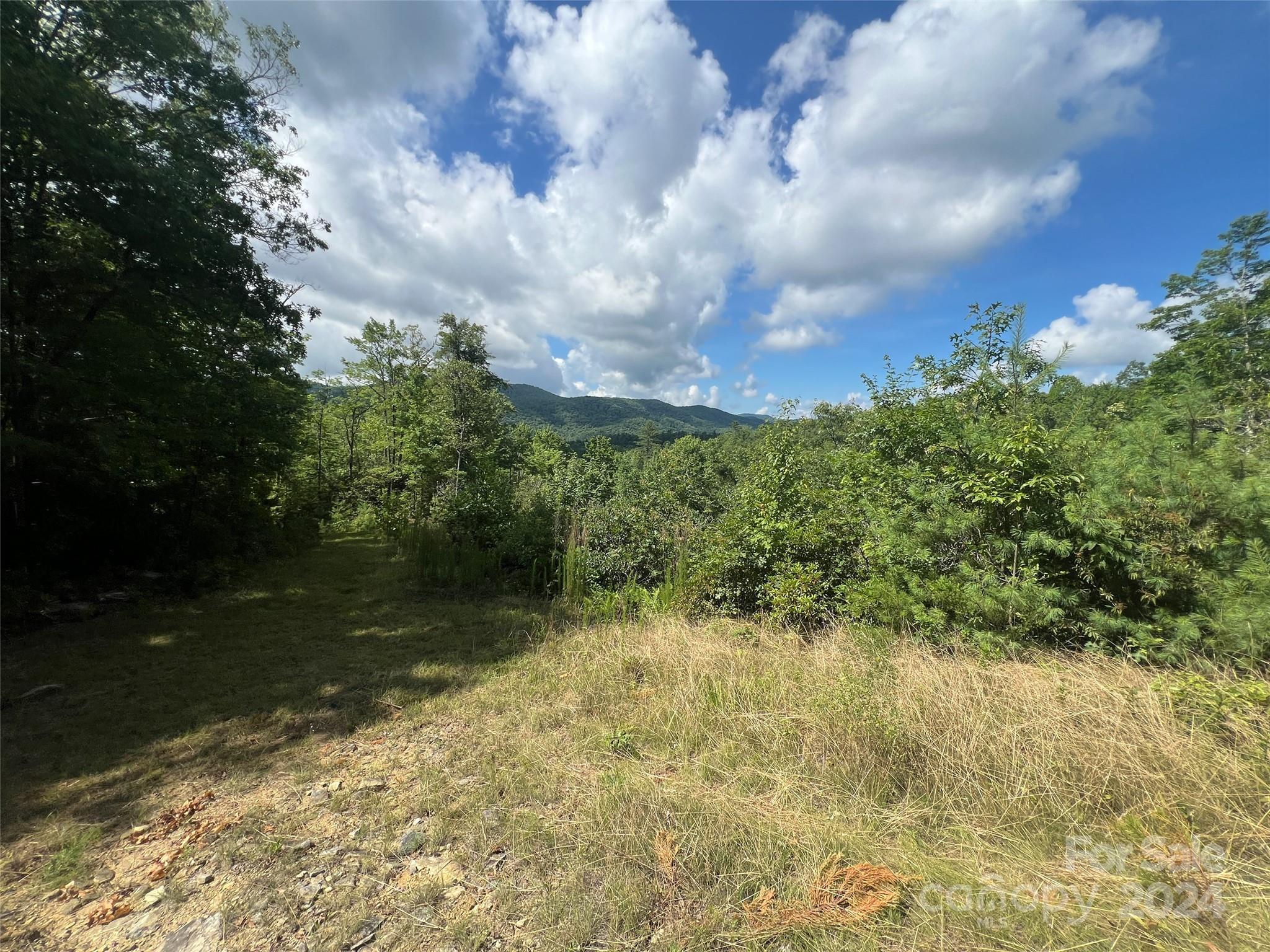 667 Laurel Thicket Lane