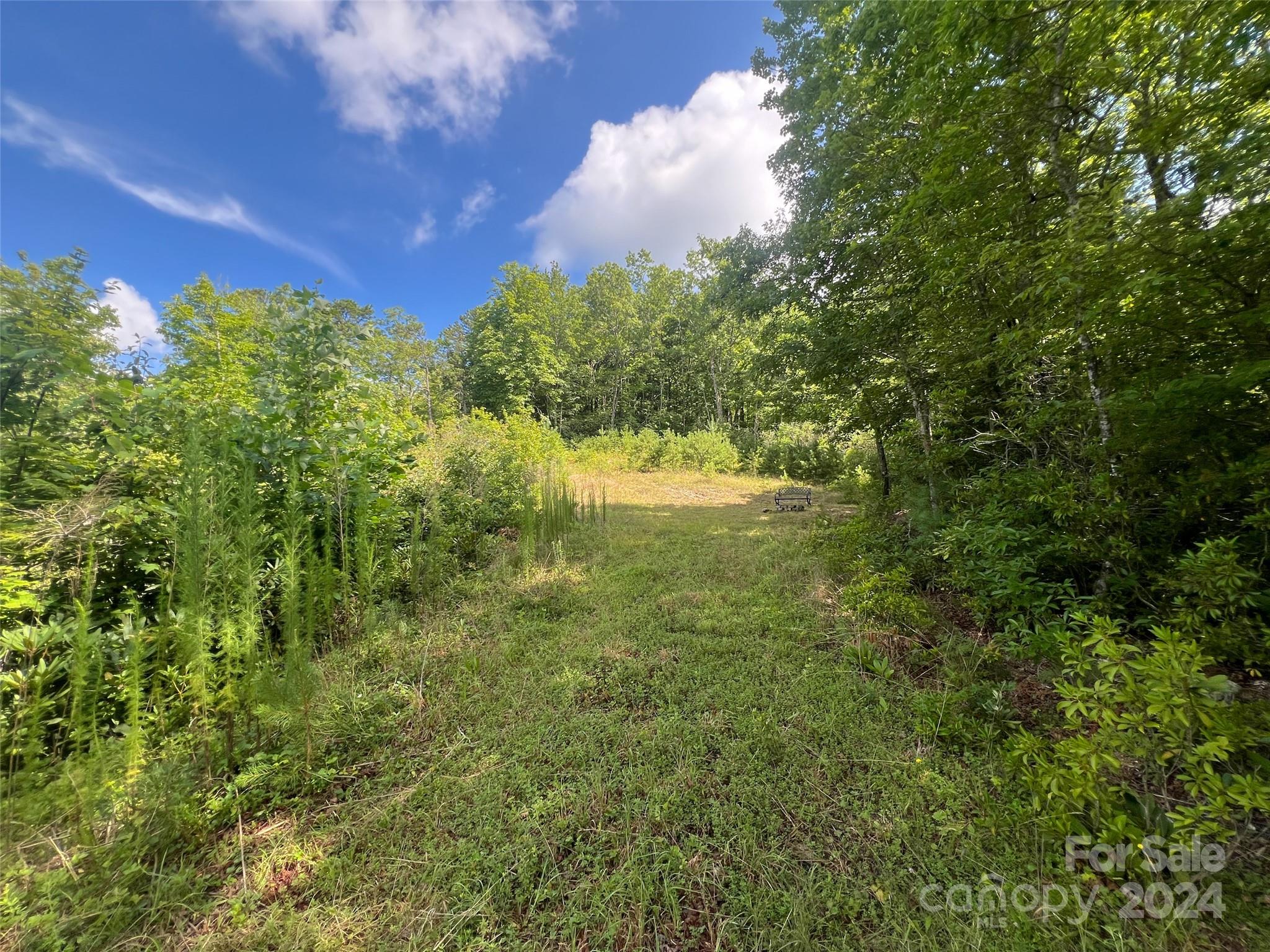 667 Laurel Thicket Lane