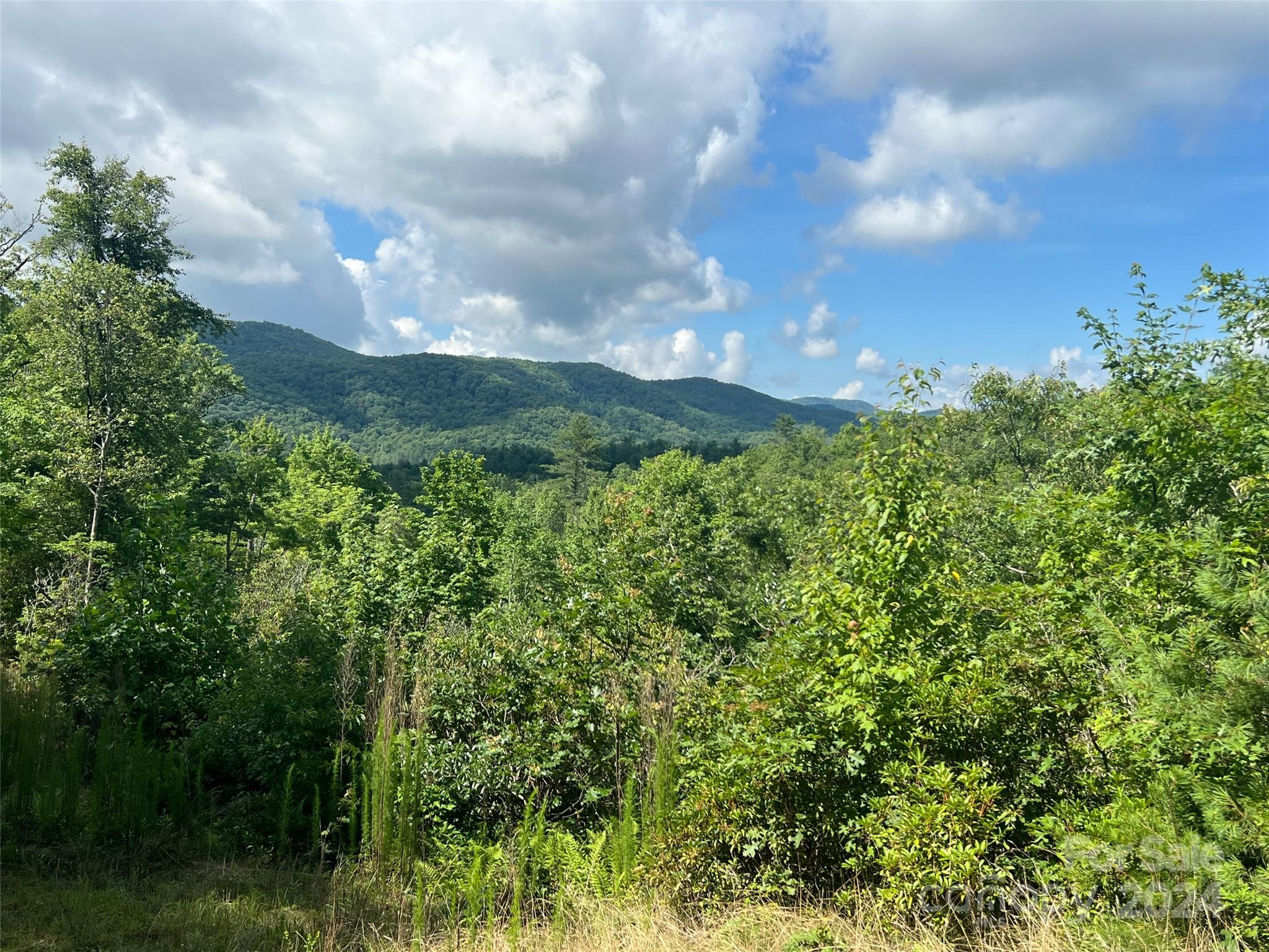 667 Laurel Thicket Lane