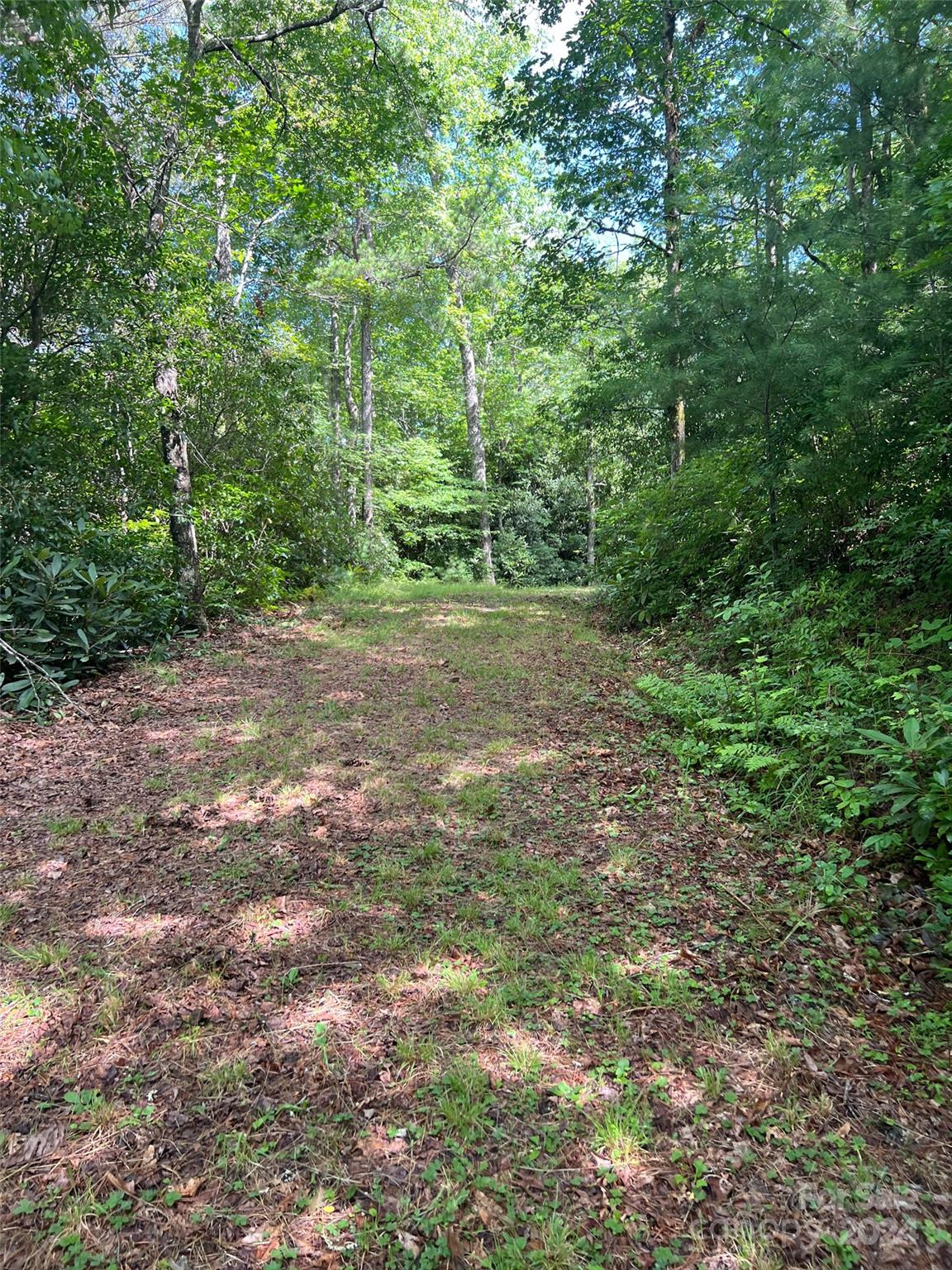 667 Laurel Thicket Lane