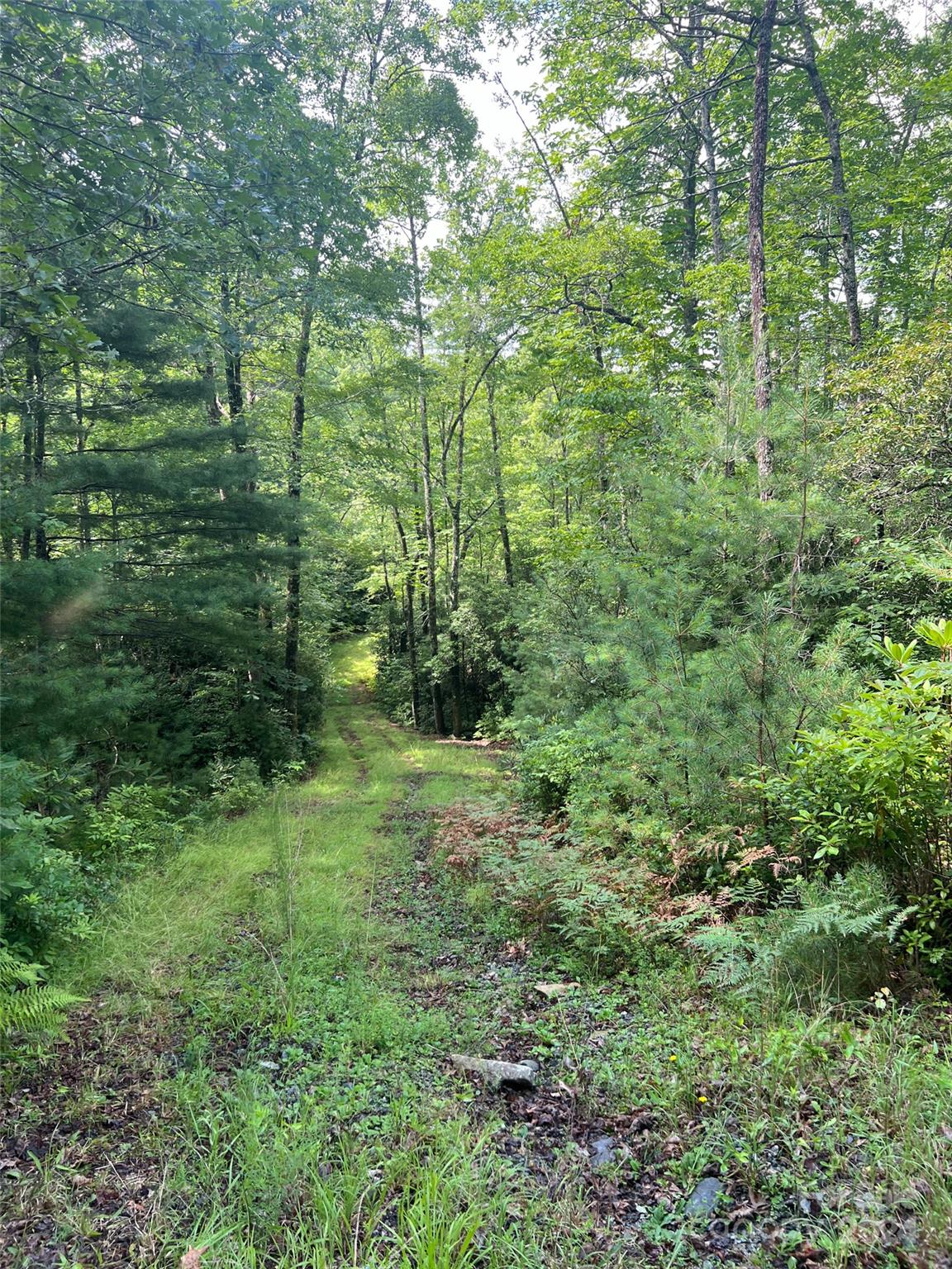 667 Laurel Thicket Lane