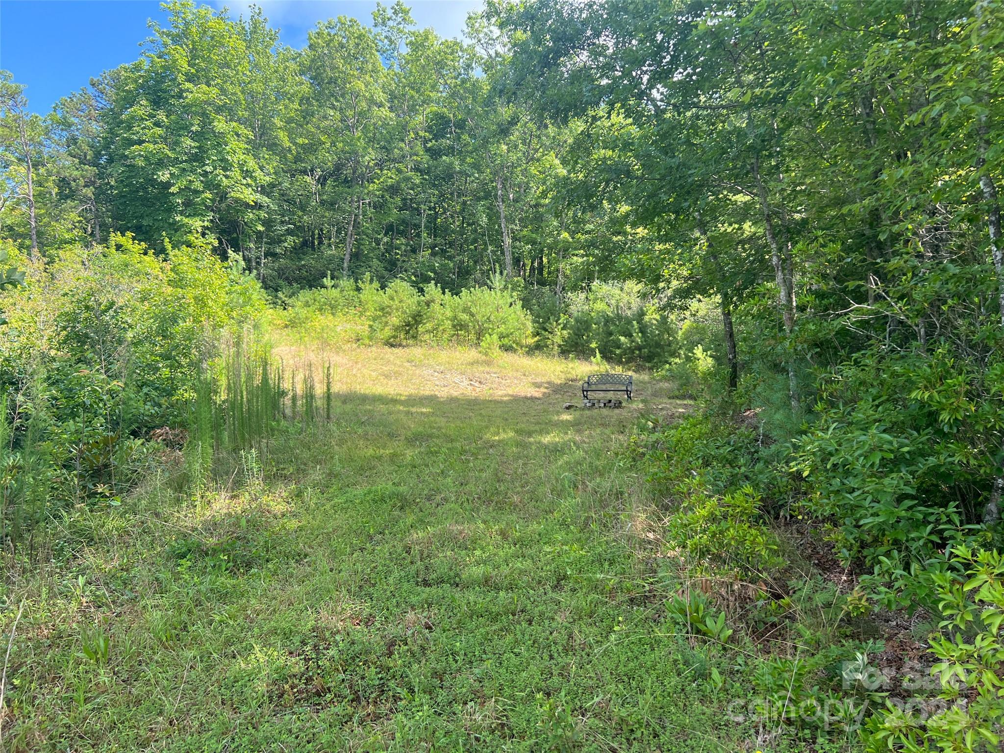 667 Laurel Thicket Lane