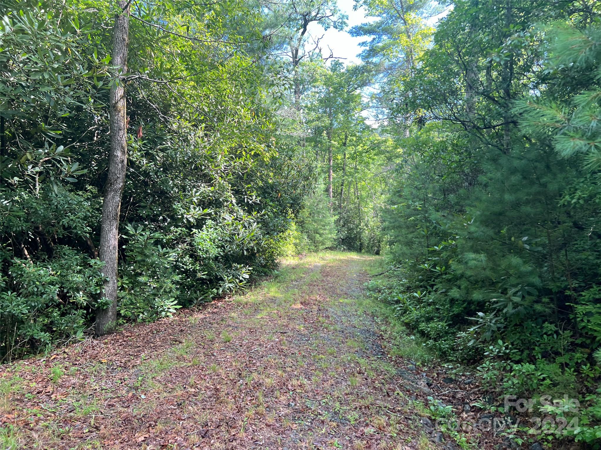 667 Laurel Thicket Lane