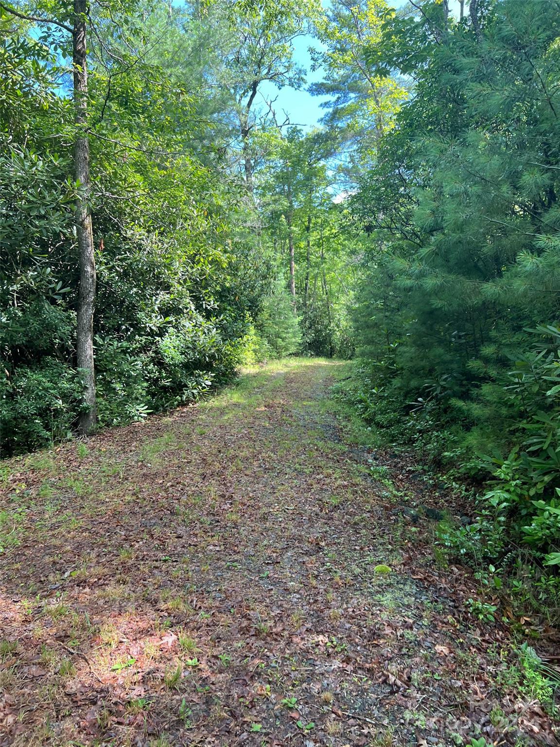 667 Laurel Thicket Lane