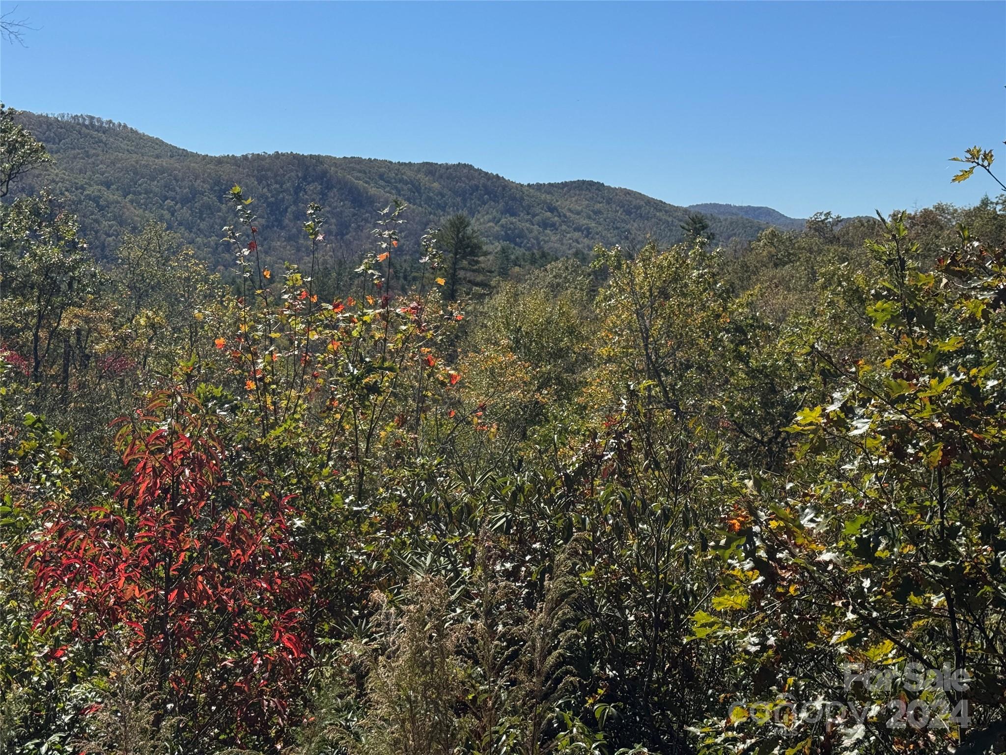 667 Laurel Thicket Lane