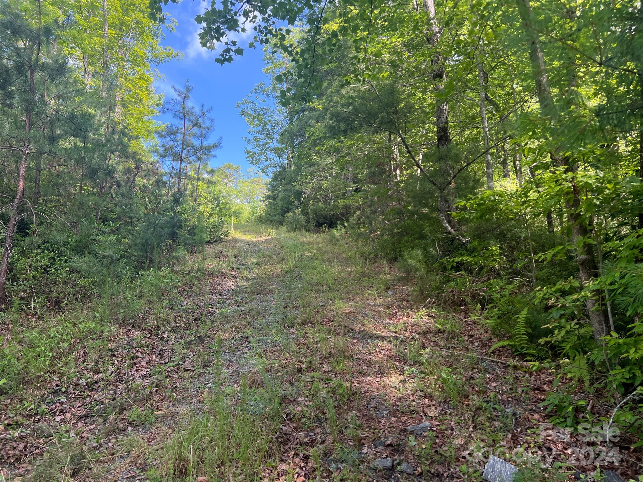 667 Laurel Thicket Lane