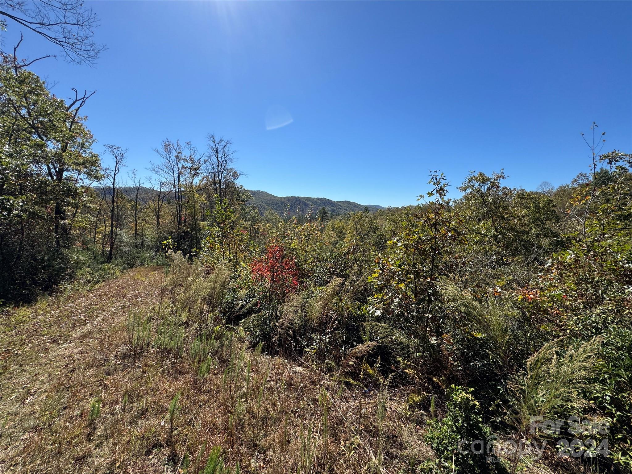 667 Laurel Thicket Lane