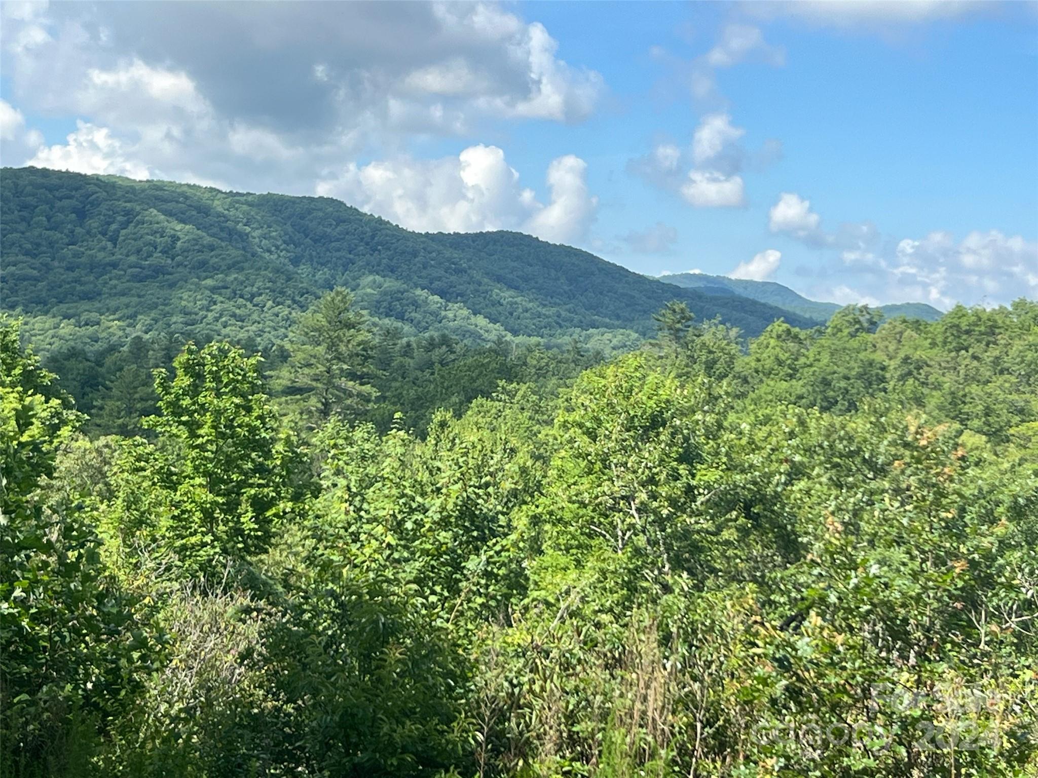 667 Laurel Thicket Lane