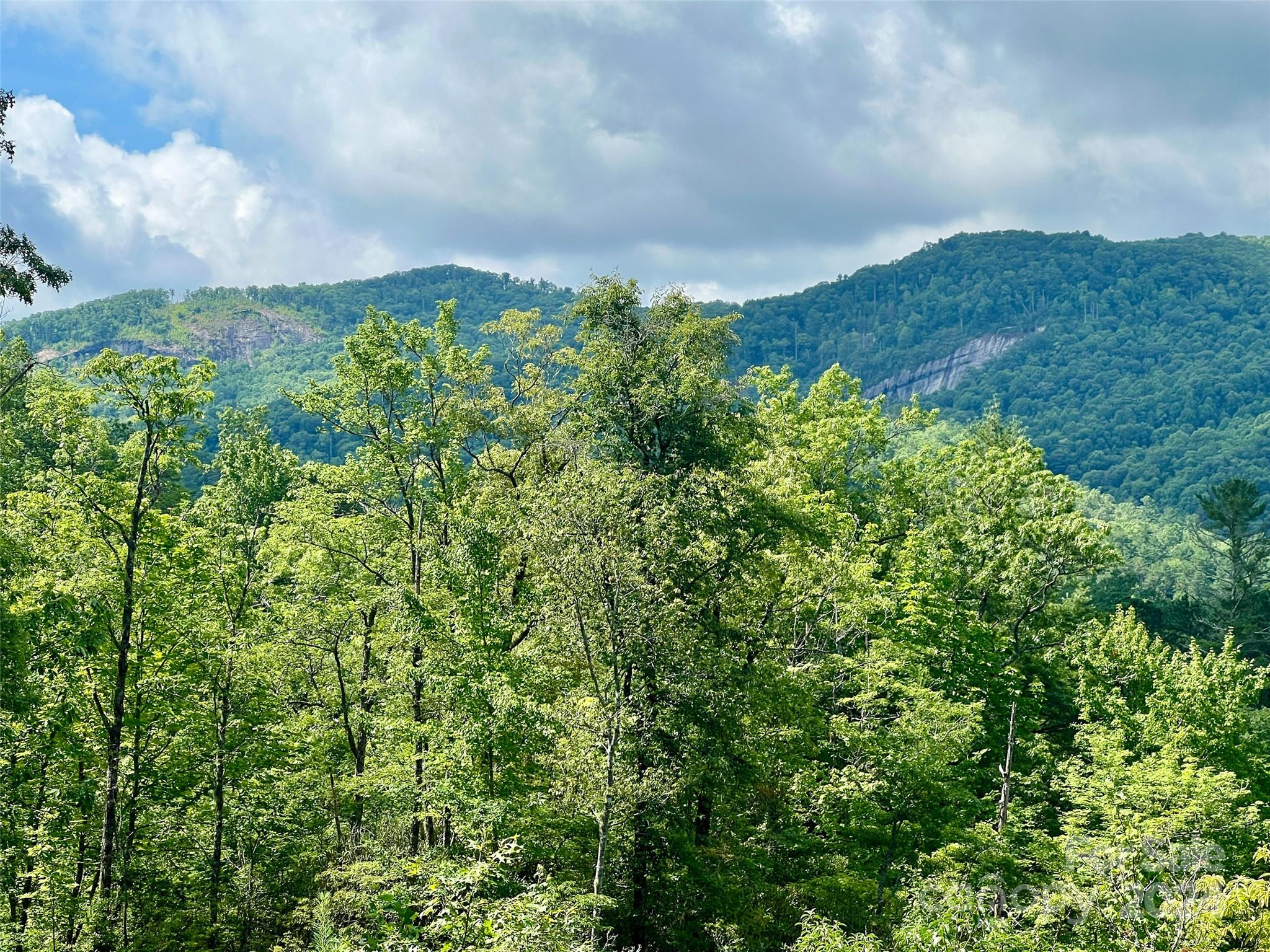 667 Laurel Thicket Lane