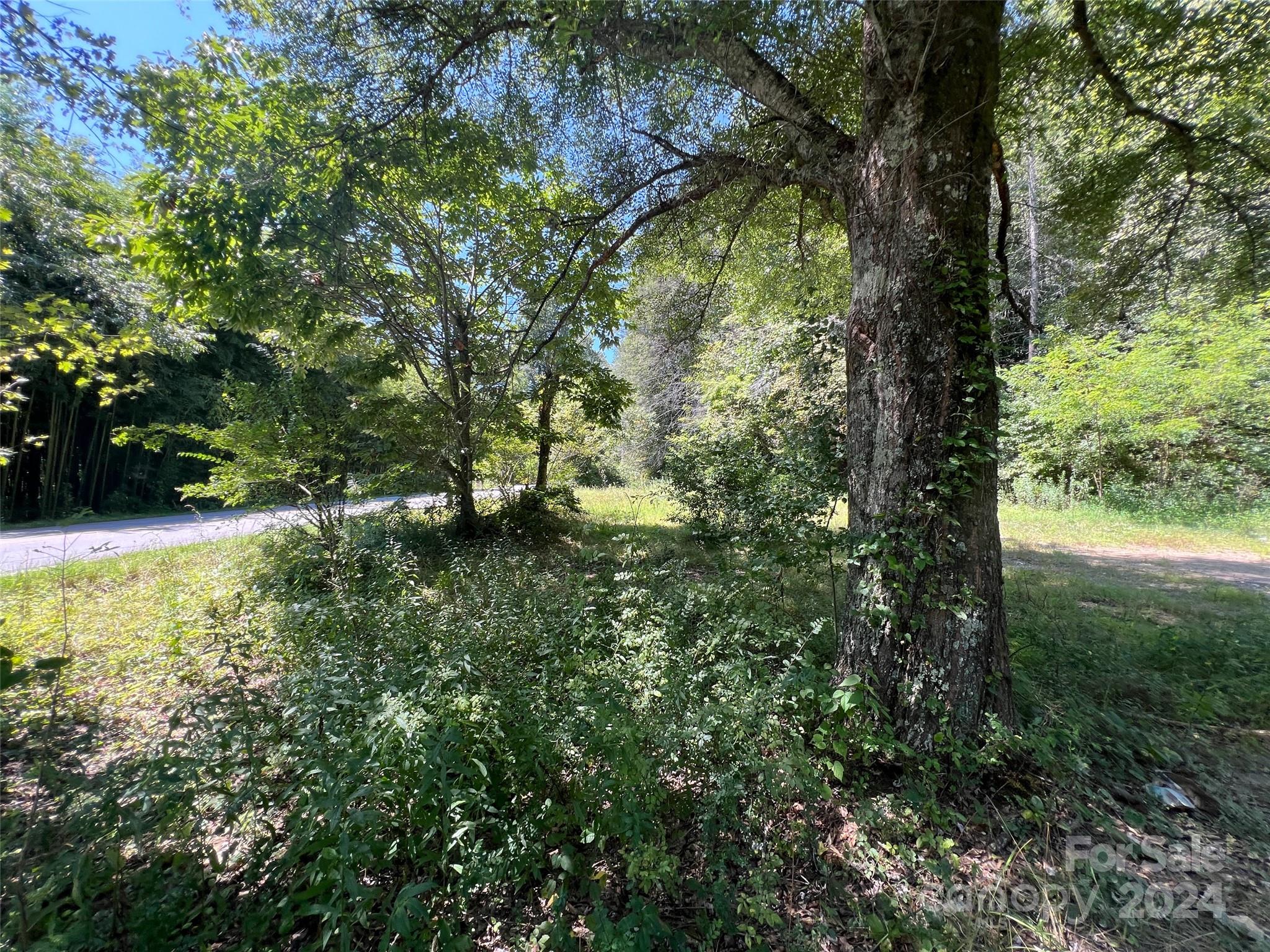 574 Frozen Creek Road