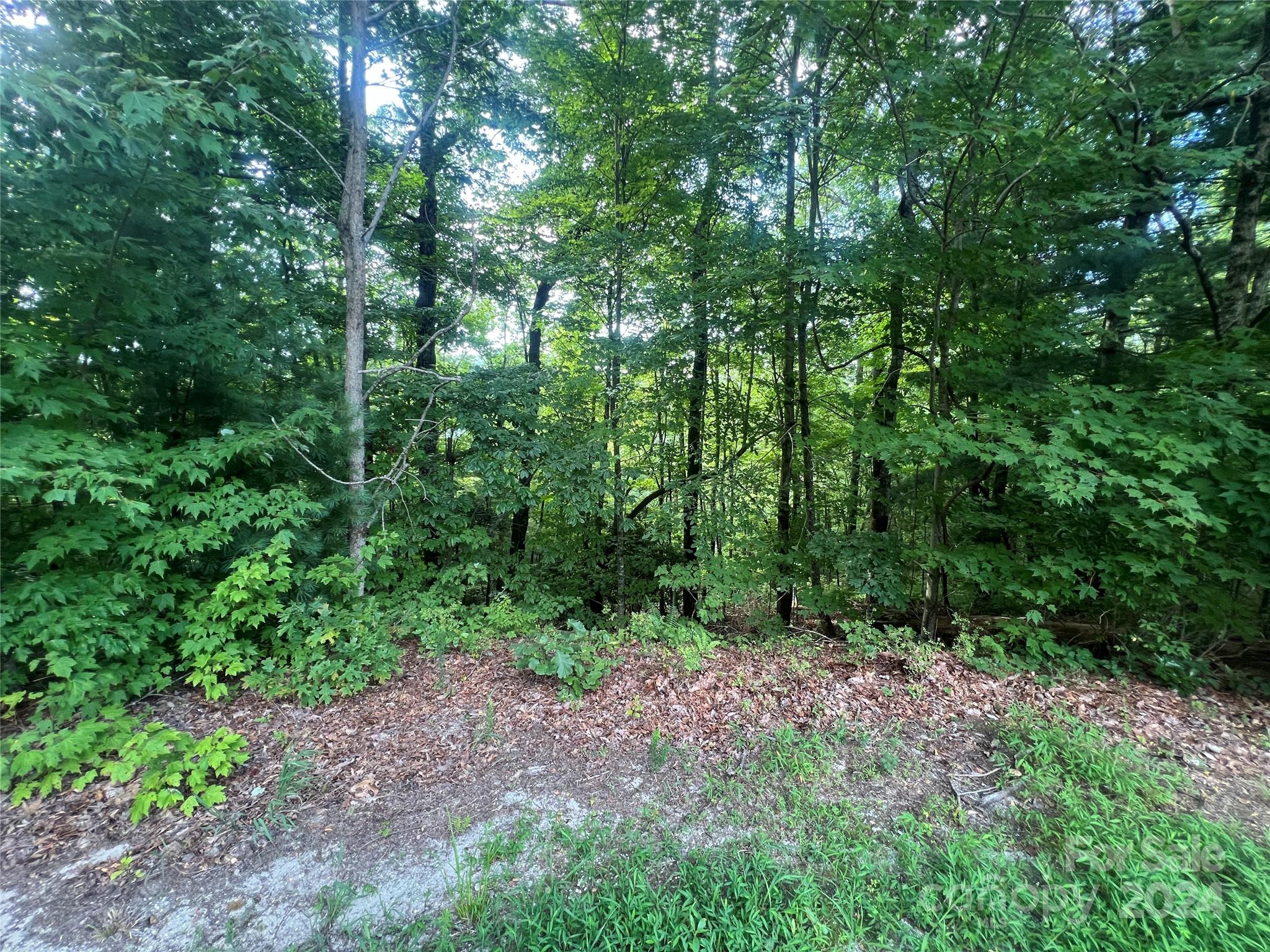 000 Laurel Thicket Lane