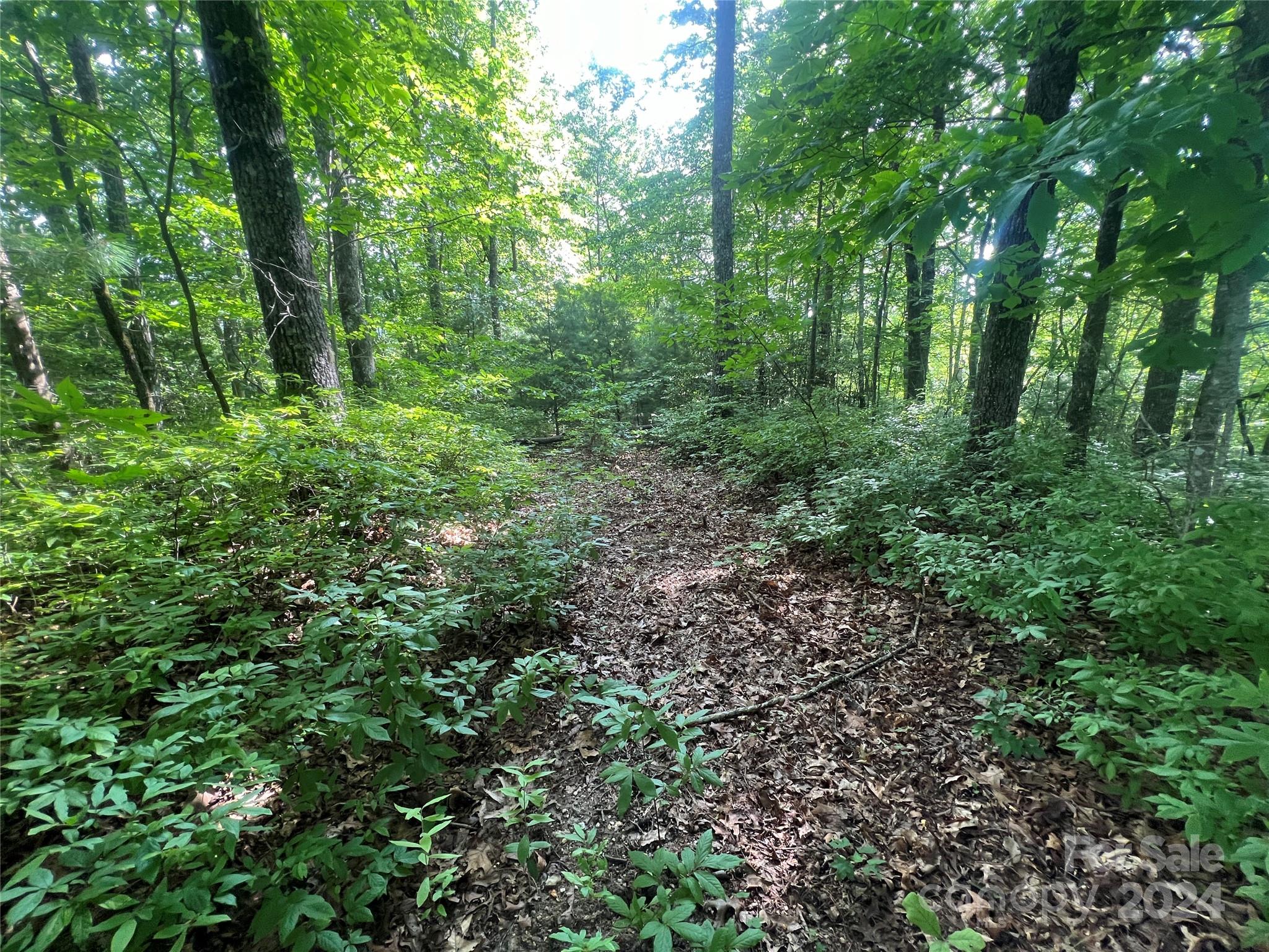 000 Laurel Thicket Lane