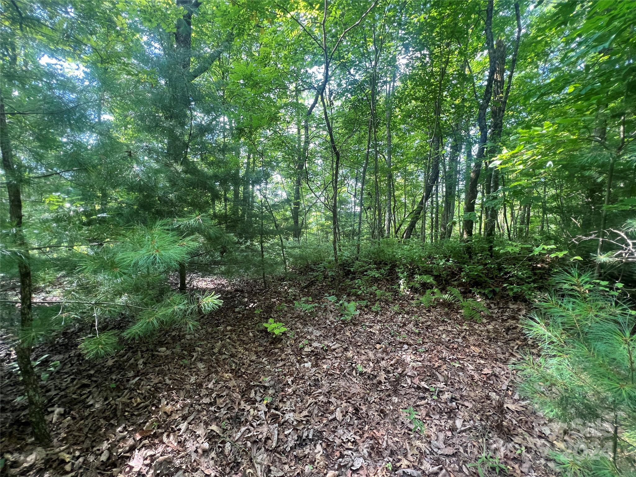 000 Laurel Thicket Lane
