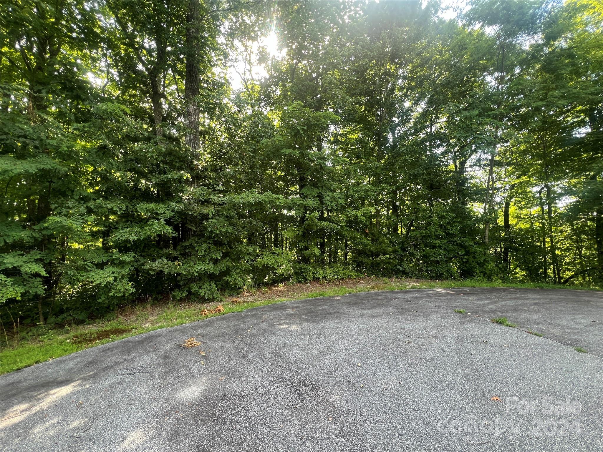 000 Laurel Thicket Lane