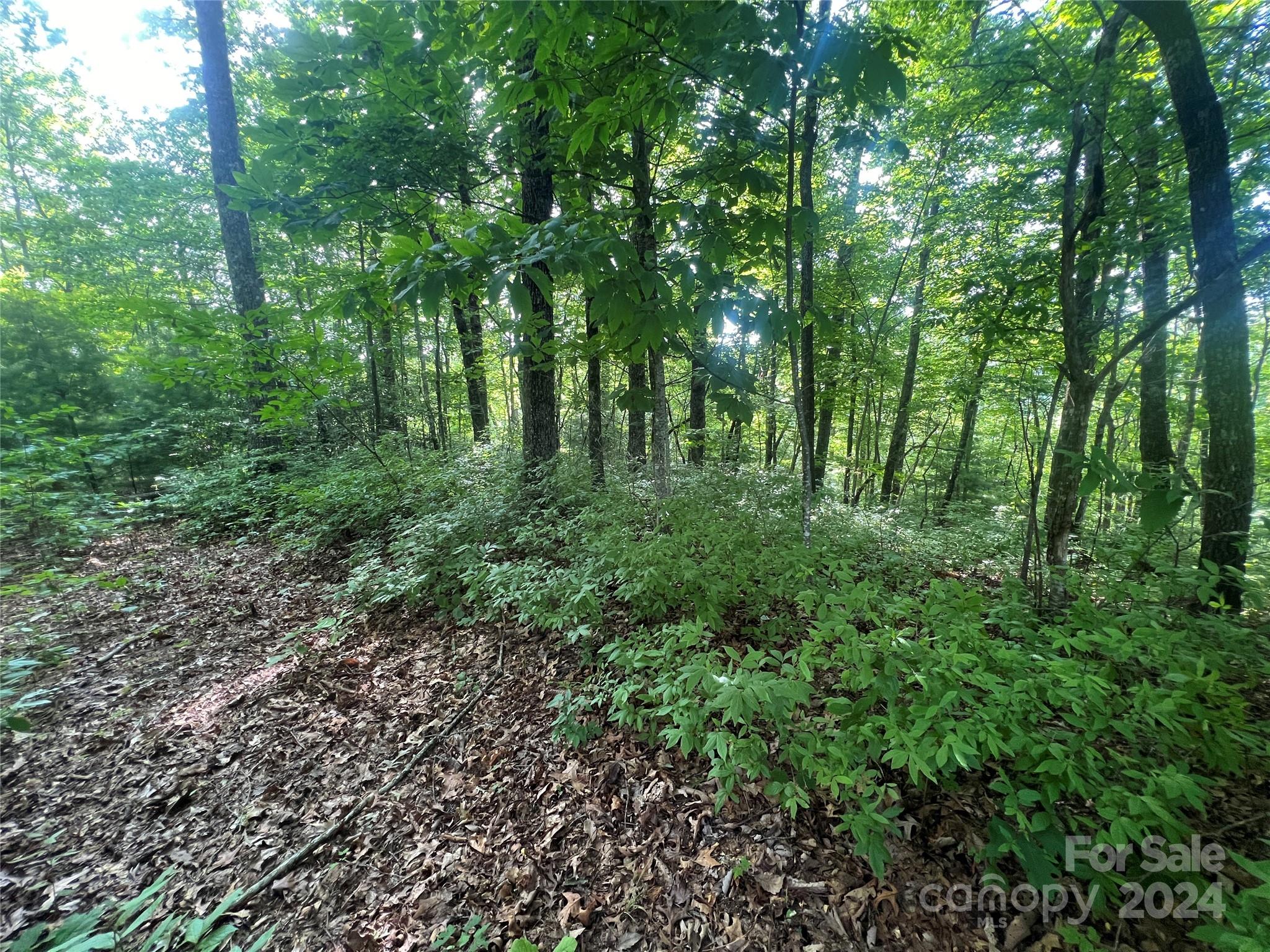 000 Laurel Thicket Lane