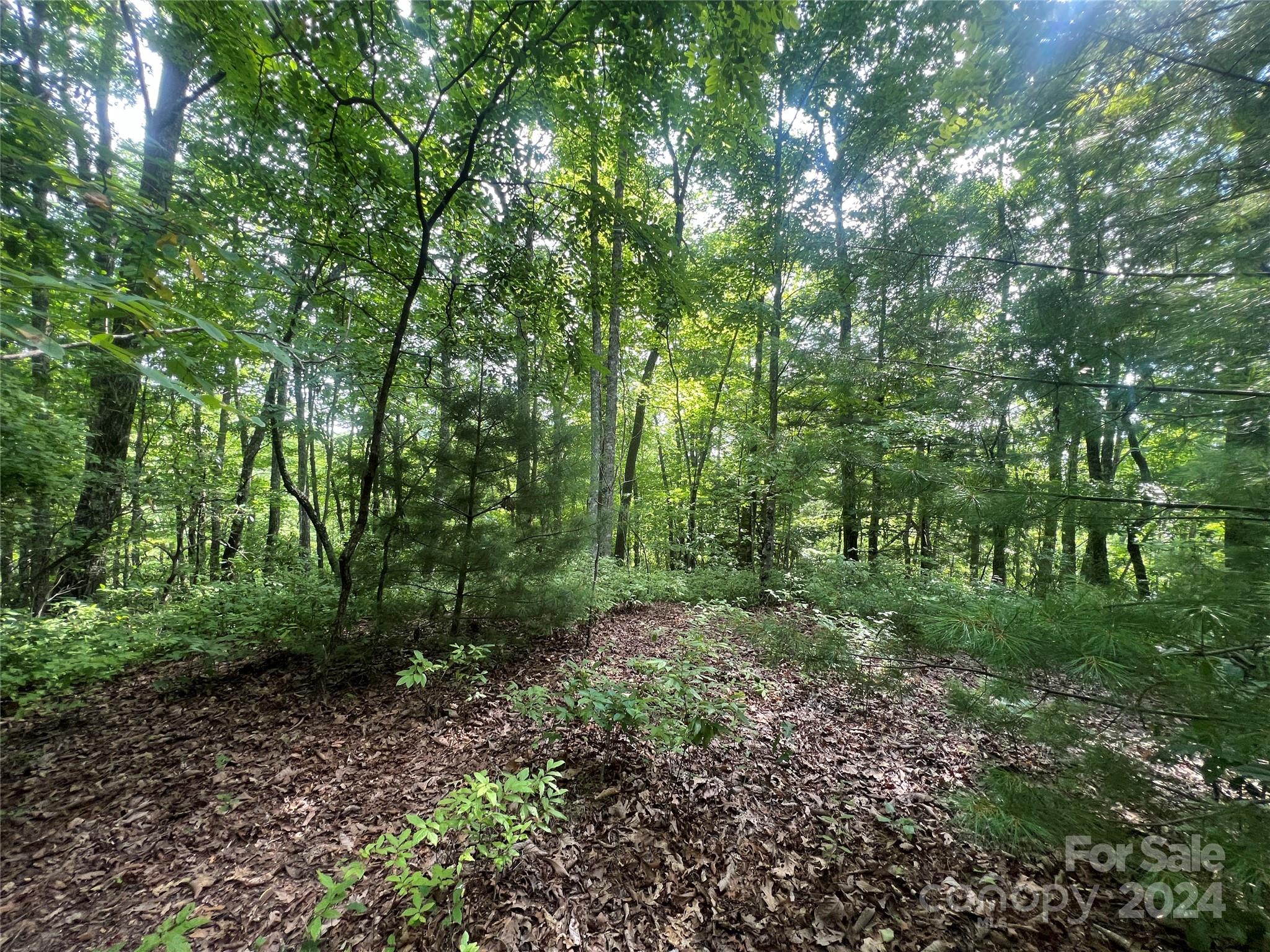 000 Laurel Thicket Lane