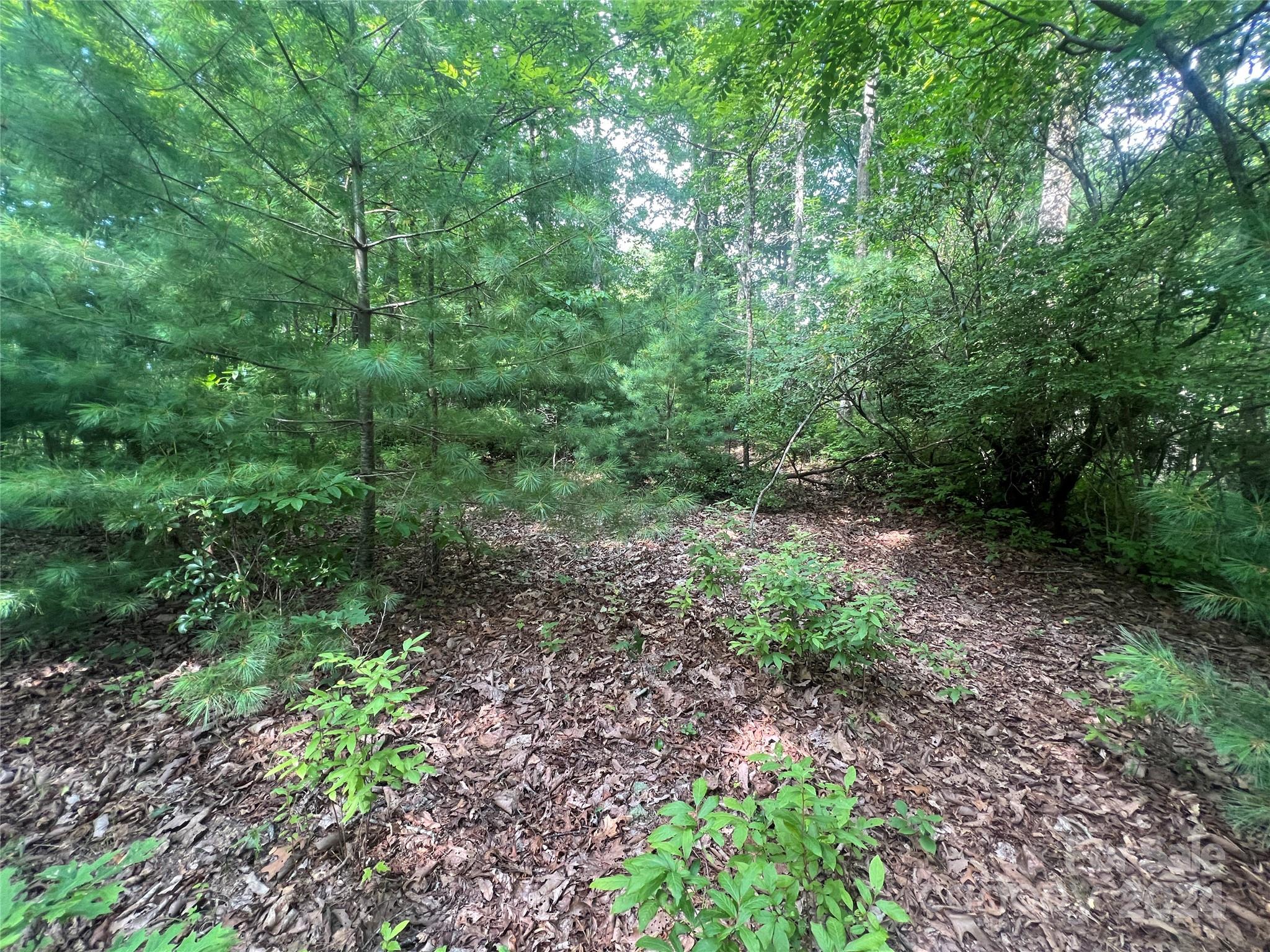 000 Laurel Thicket Lane