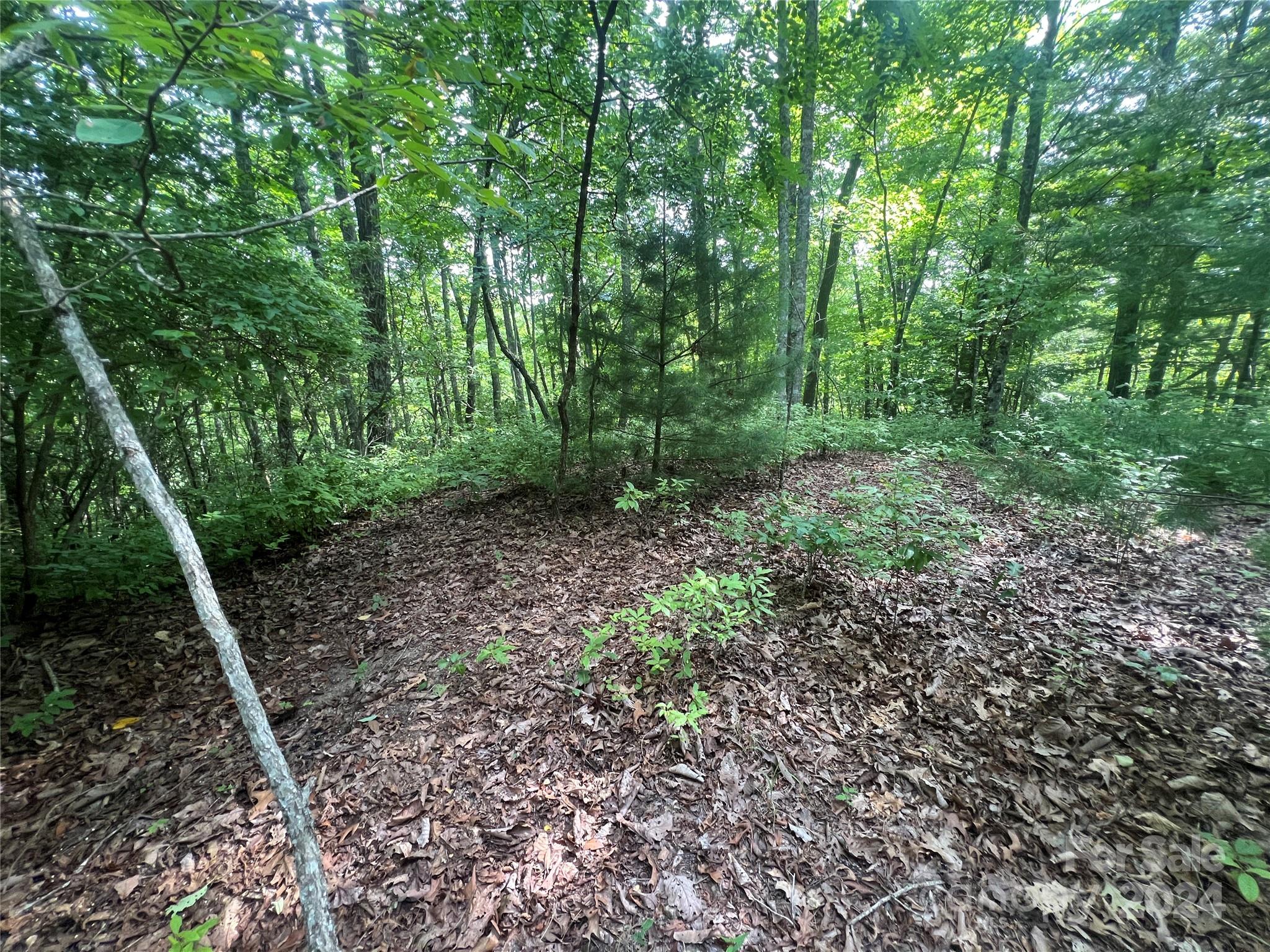 000 Laurel Thicket Lane