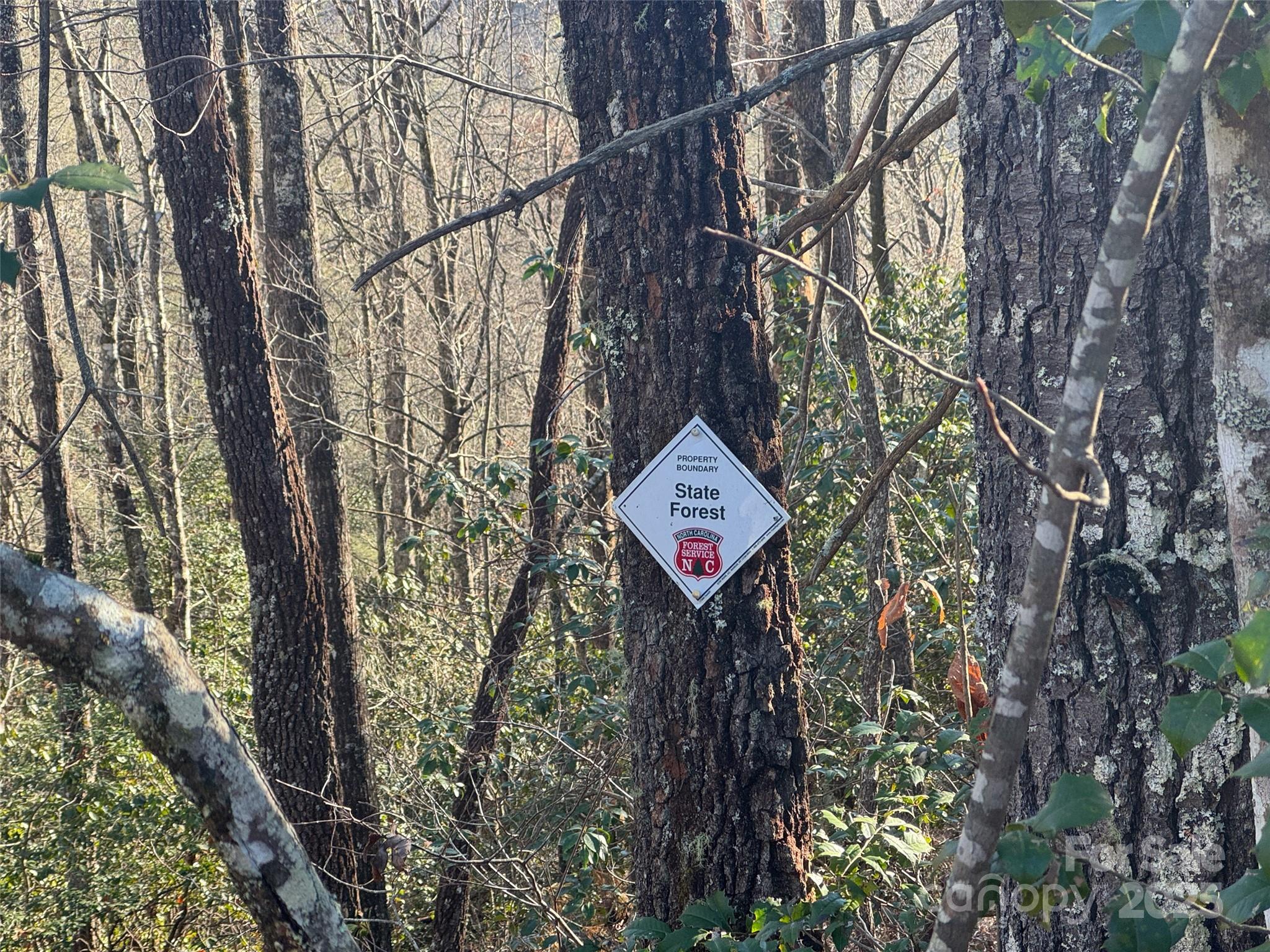 999 Laurel Thicket Lane