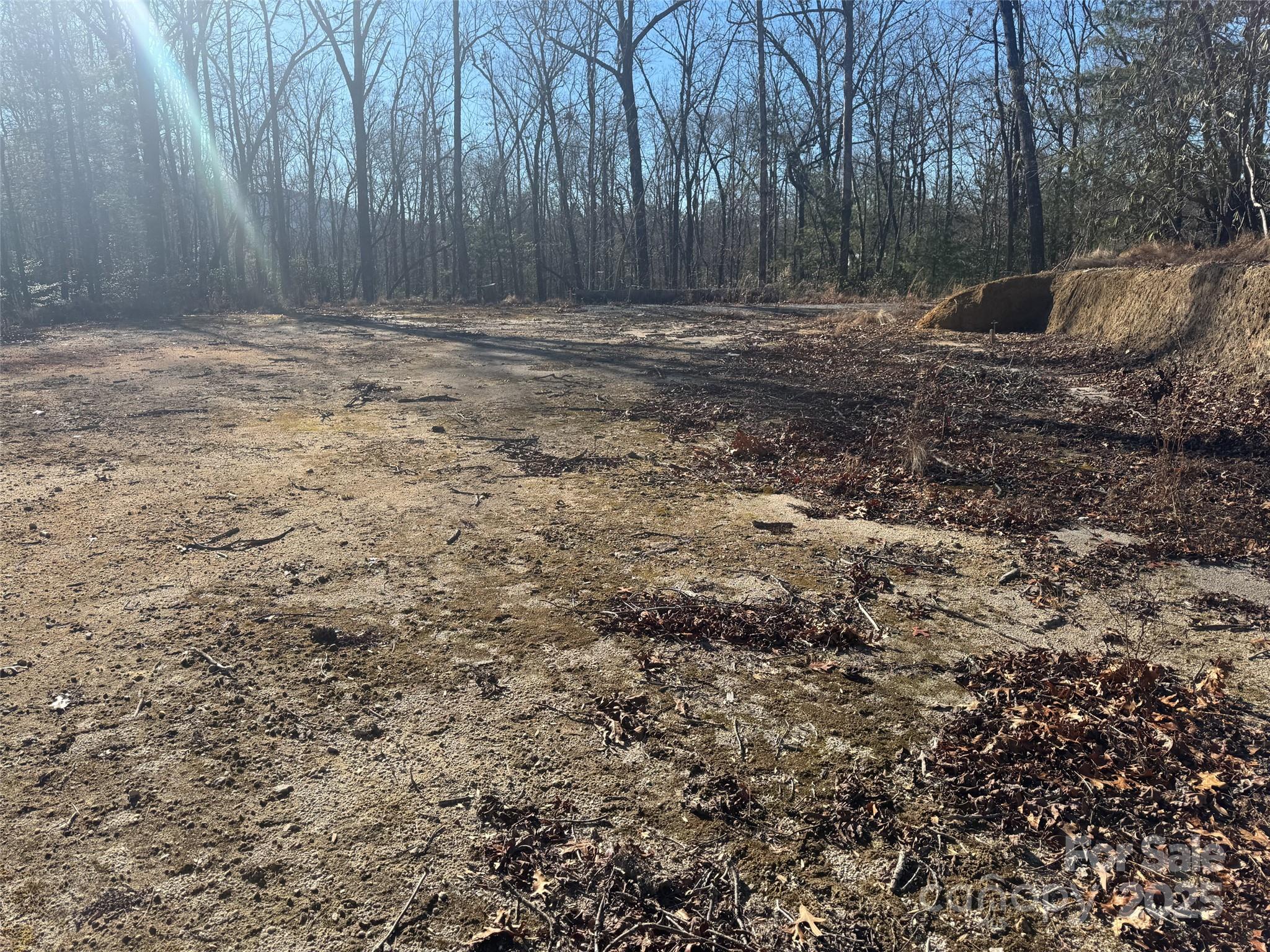 999 Laurel Thicket Lane