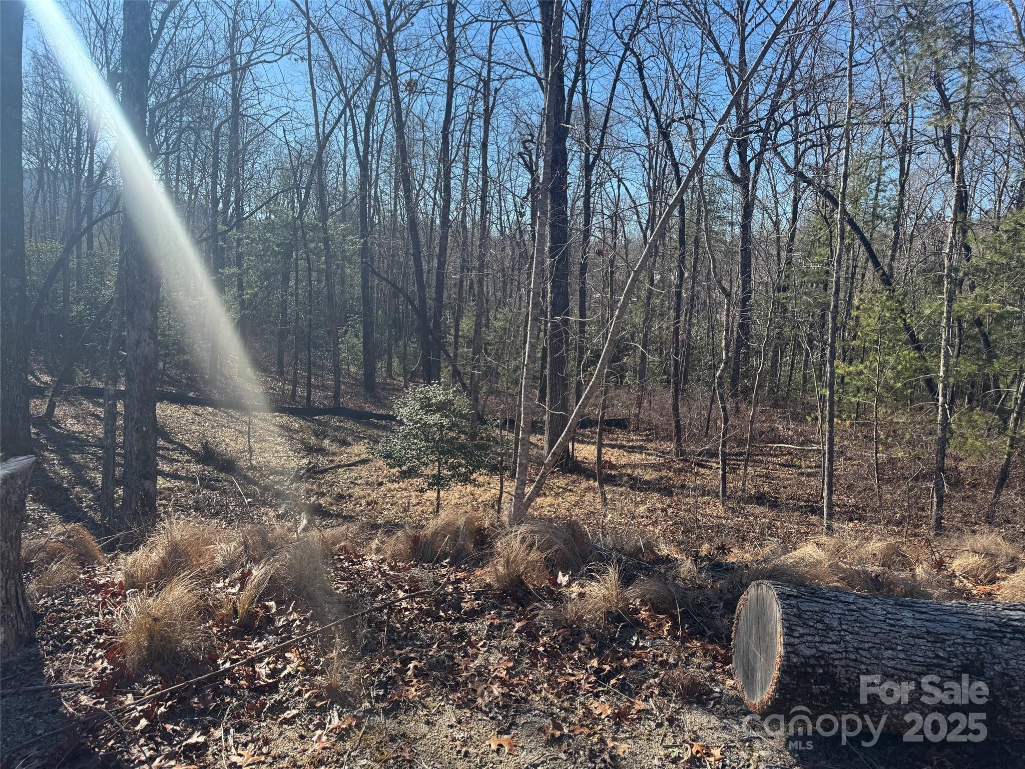 999 Laurel Thicket Lane