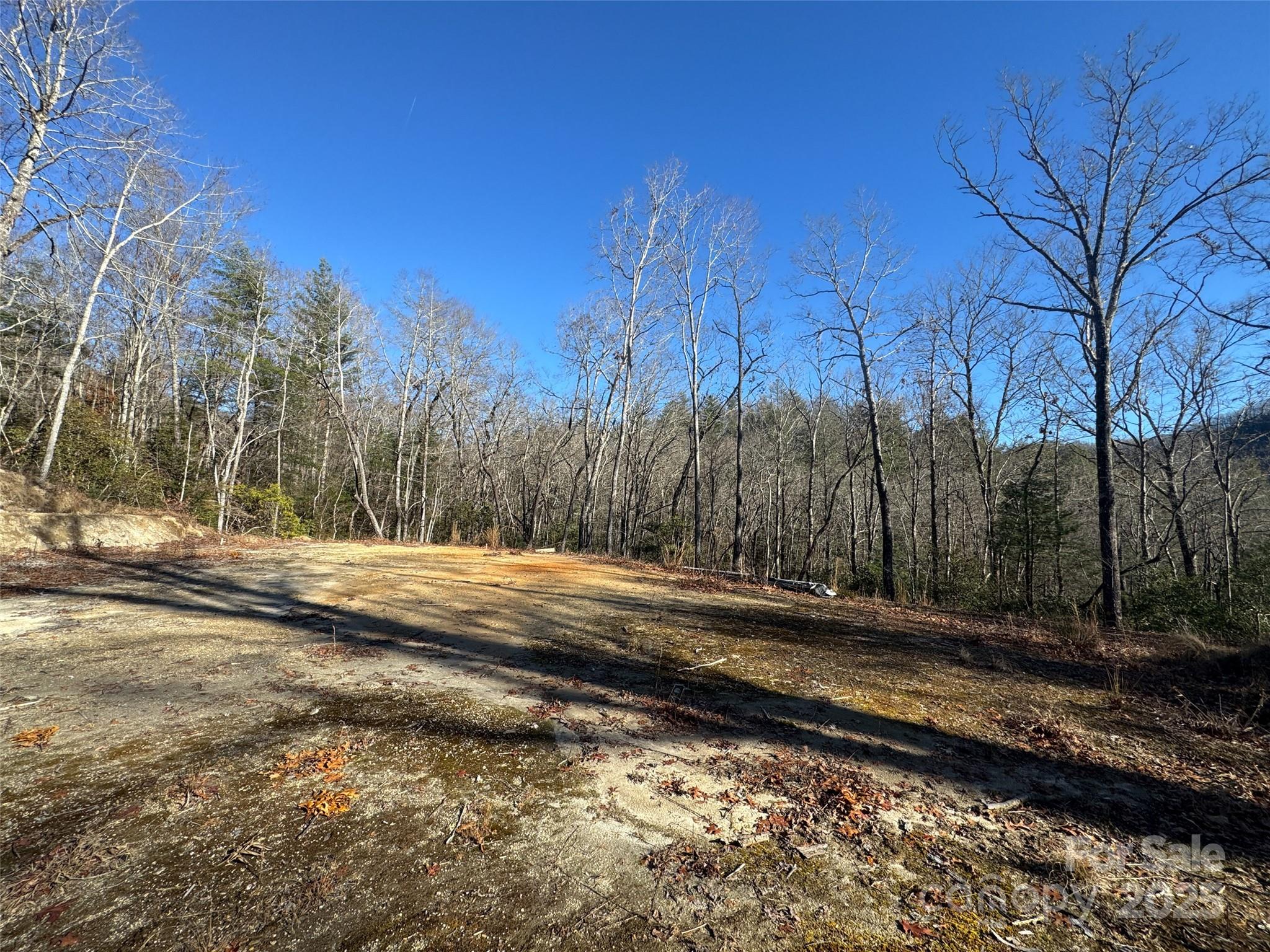 999 Laurel Thicket Lane