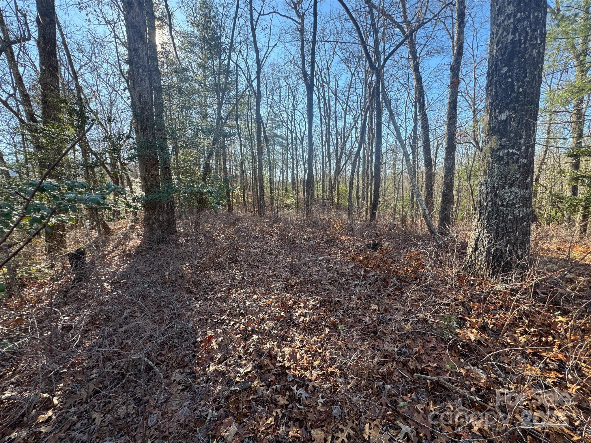 999 Laurel Thicket Lane