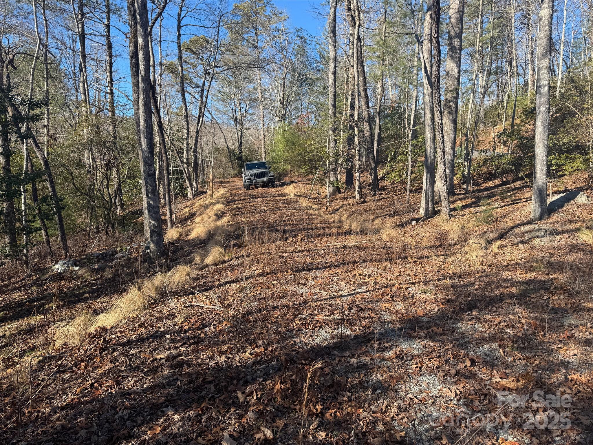 999 Laurel Thicket Lane