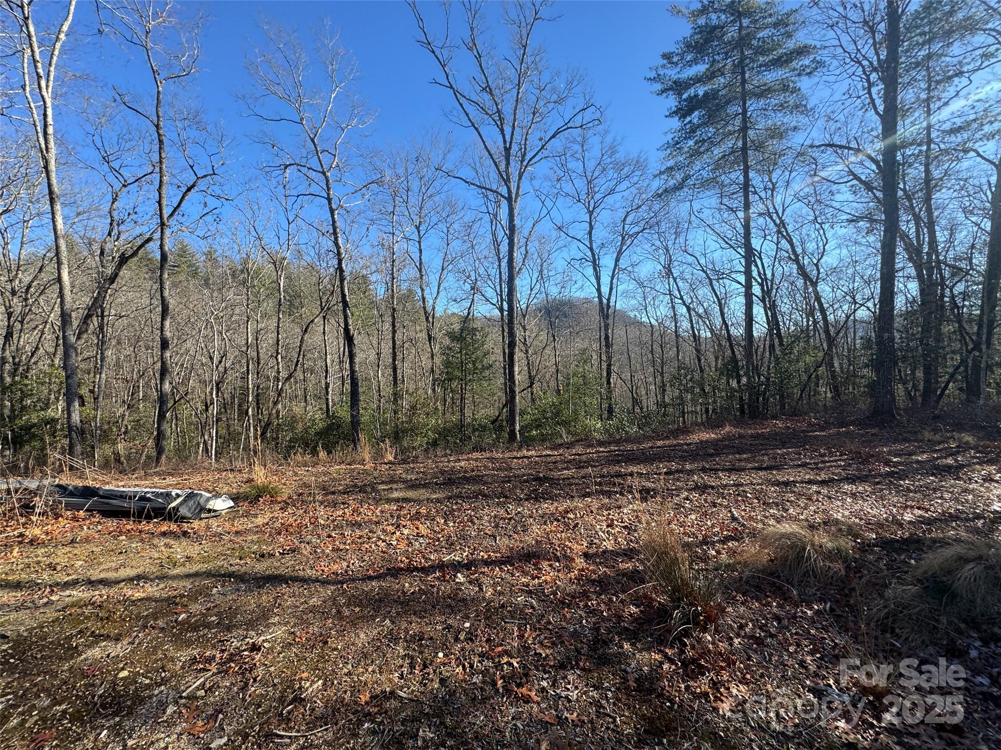 999 Laurel Thicket Lane