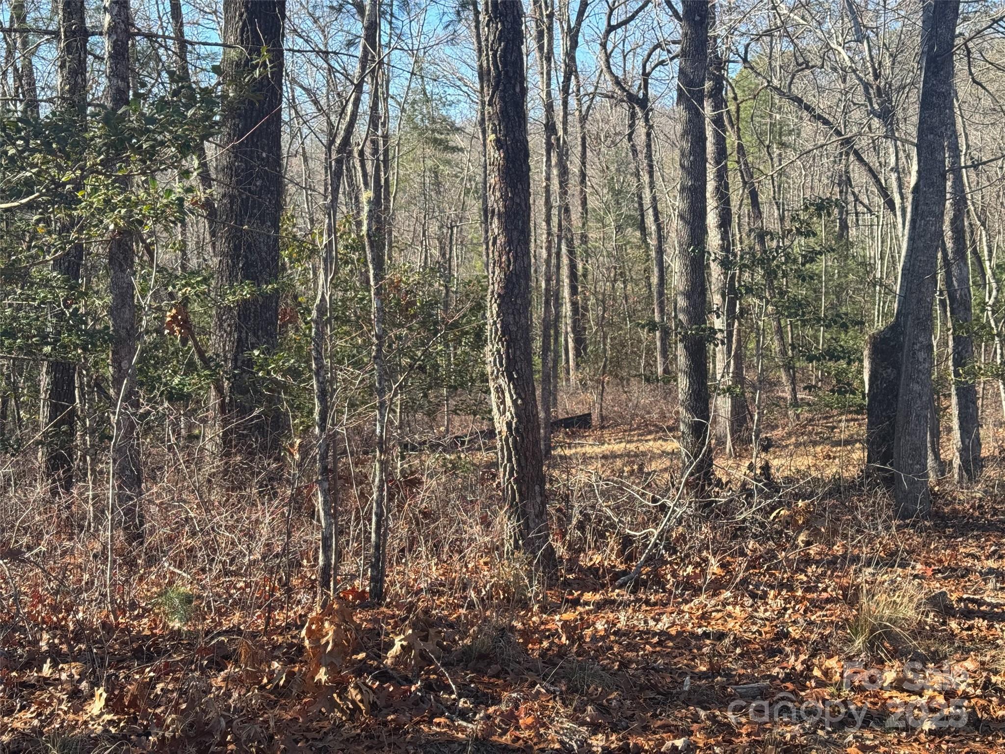 999 Laurel Thicket Lane