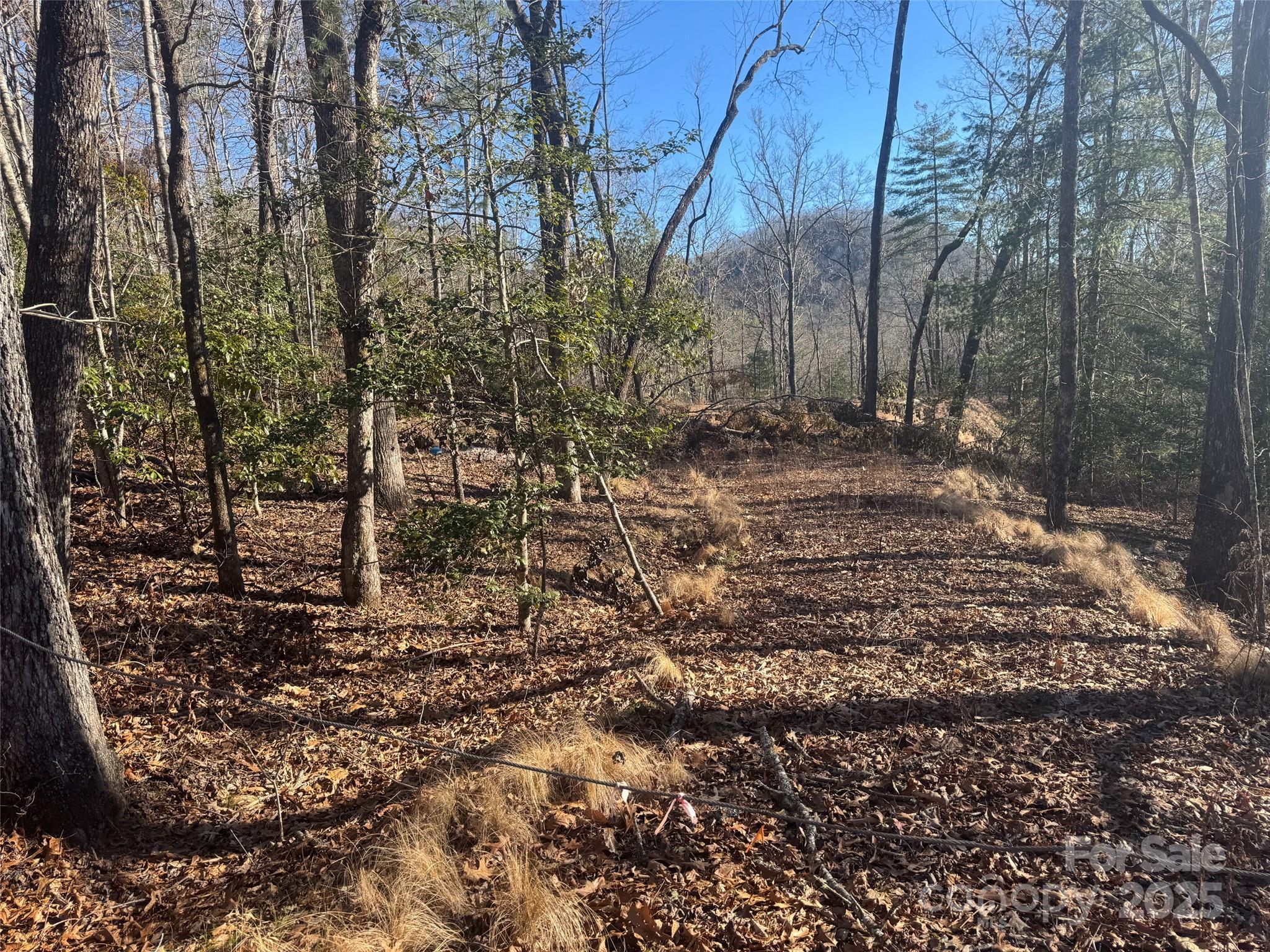 999 Laurel Thicket Lane