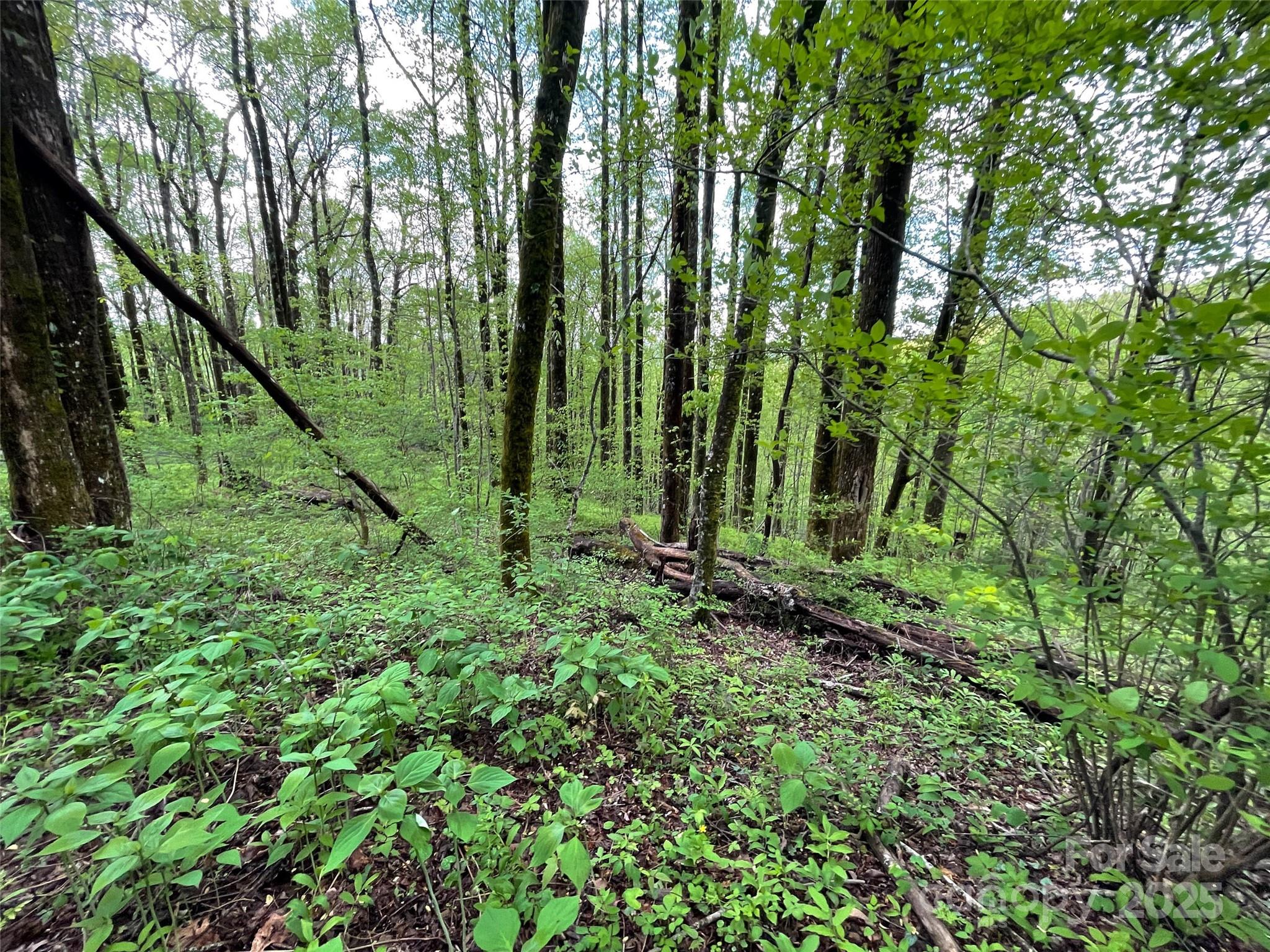 OFF Pine Mountain Drive