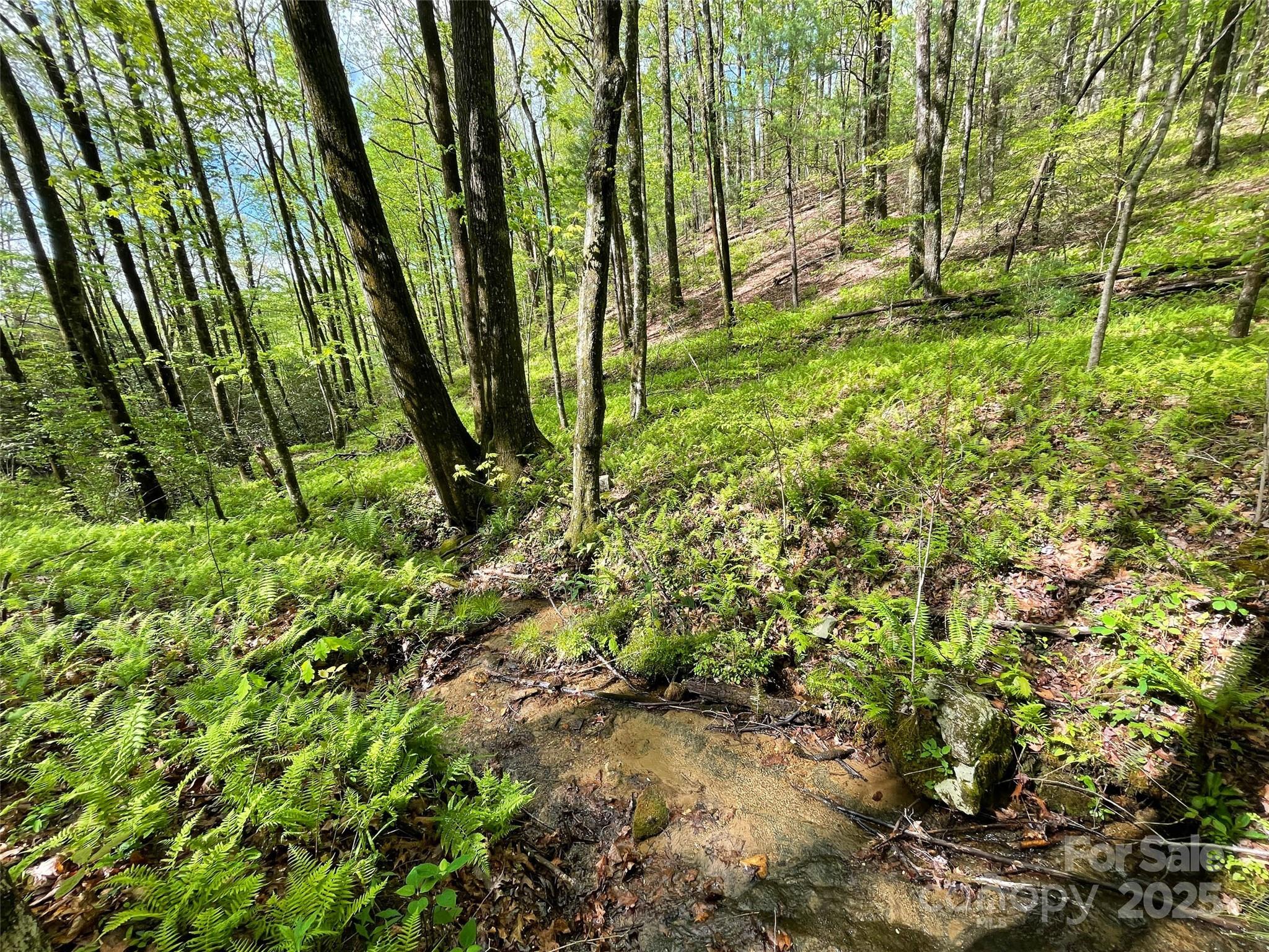 OFF Pine Mountain Drive