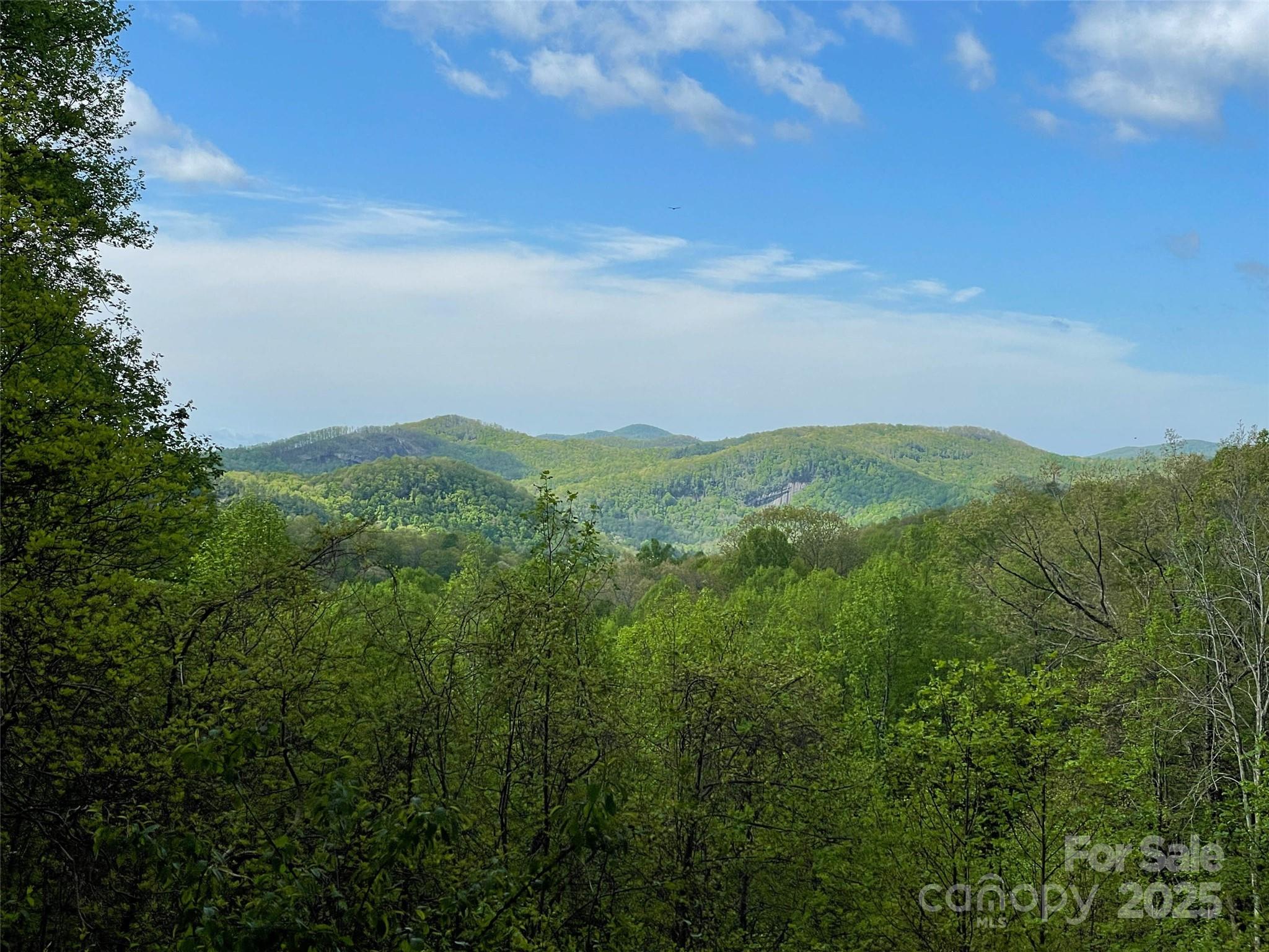 OFF Pine Mountain Drive