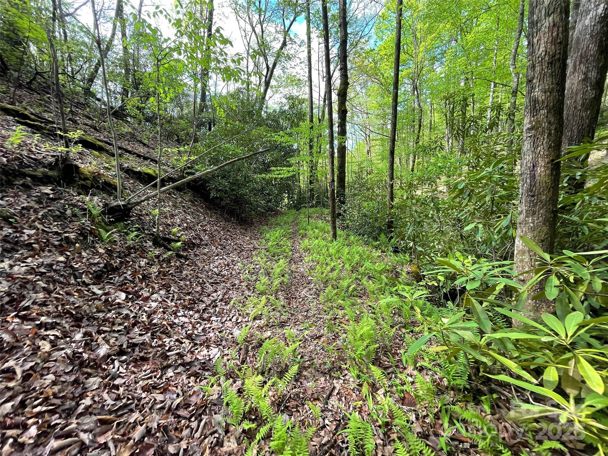 OFF Pine Mountain Drive